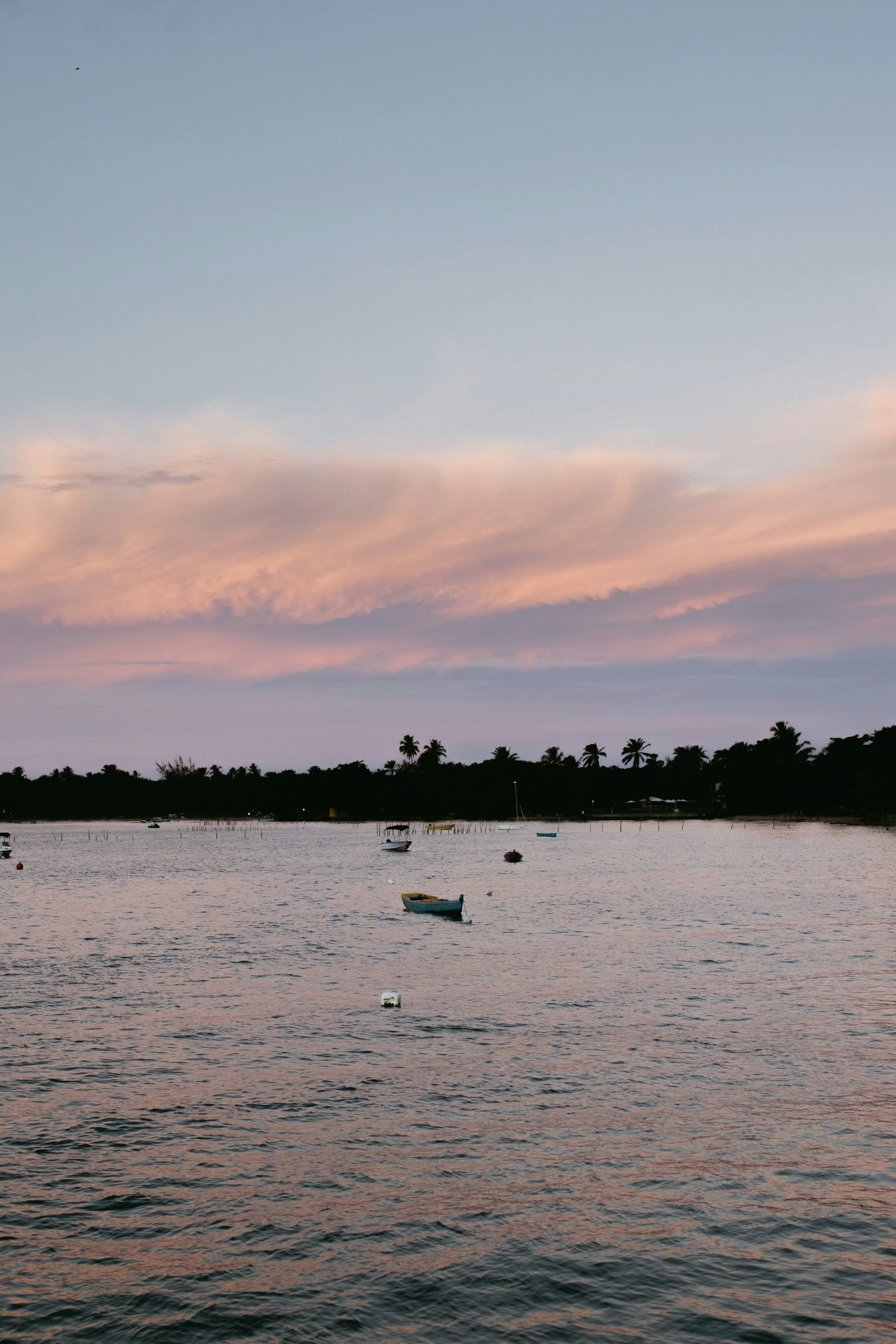 Photo by jonathanborba