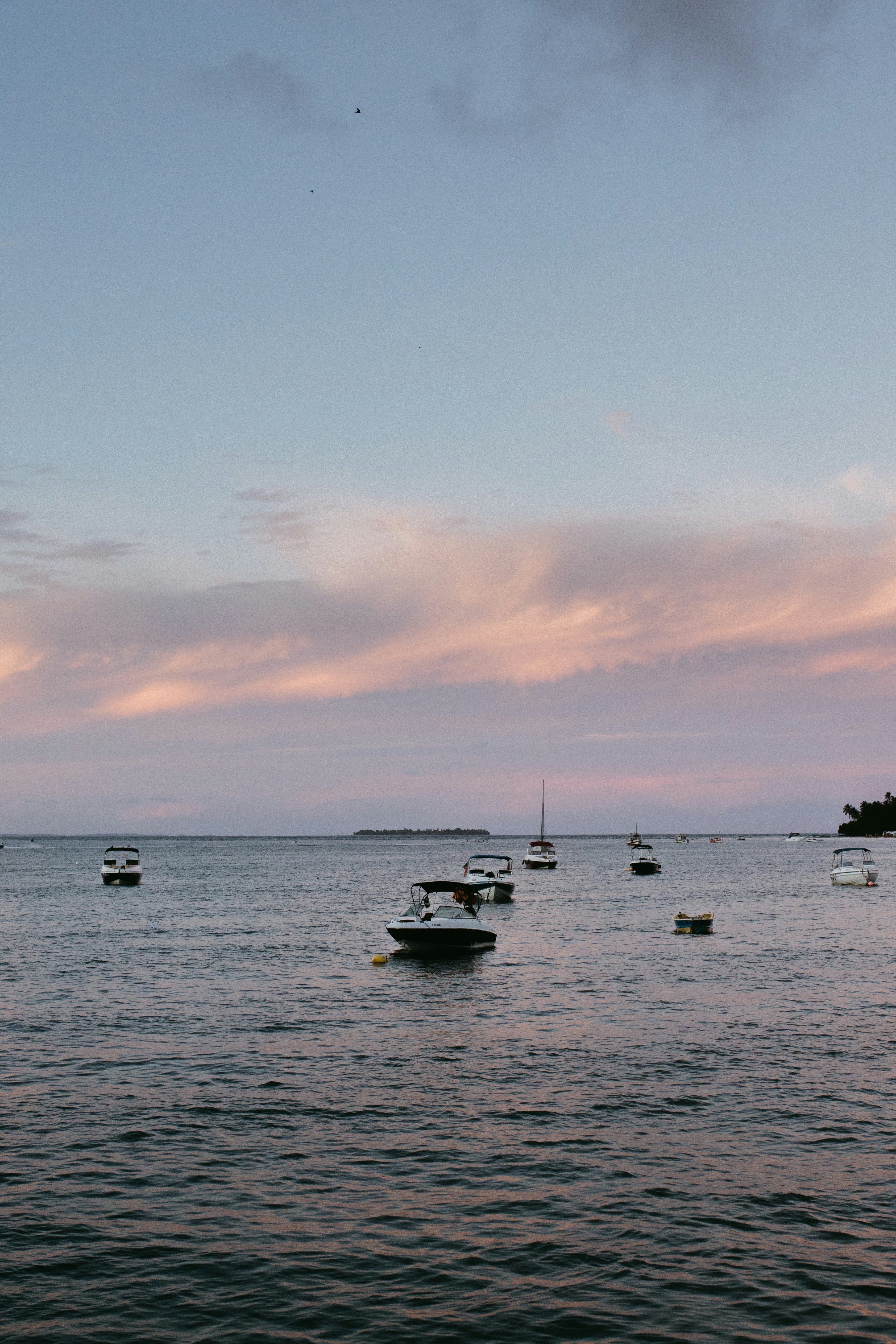 Photo by jonathanborba