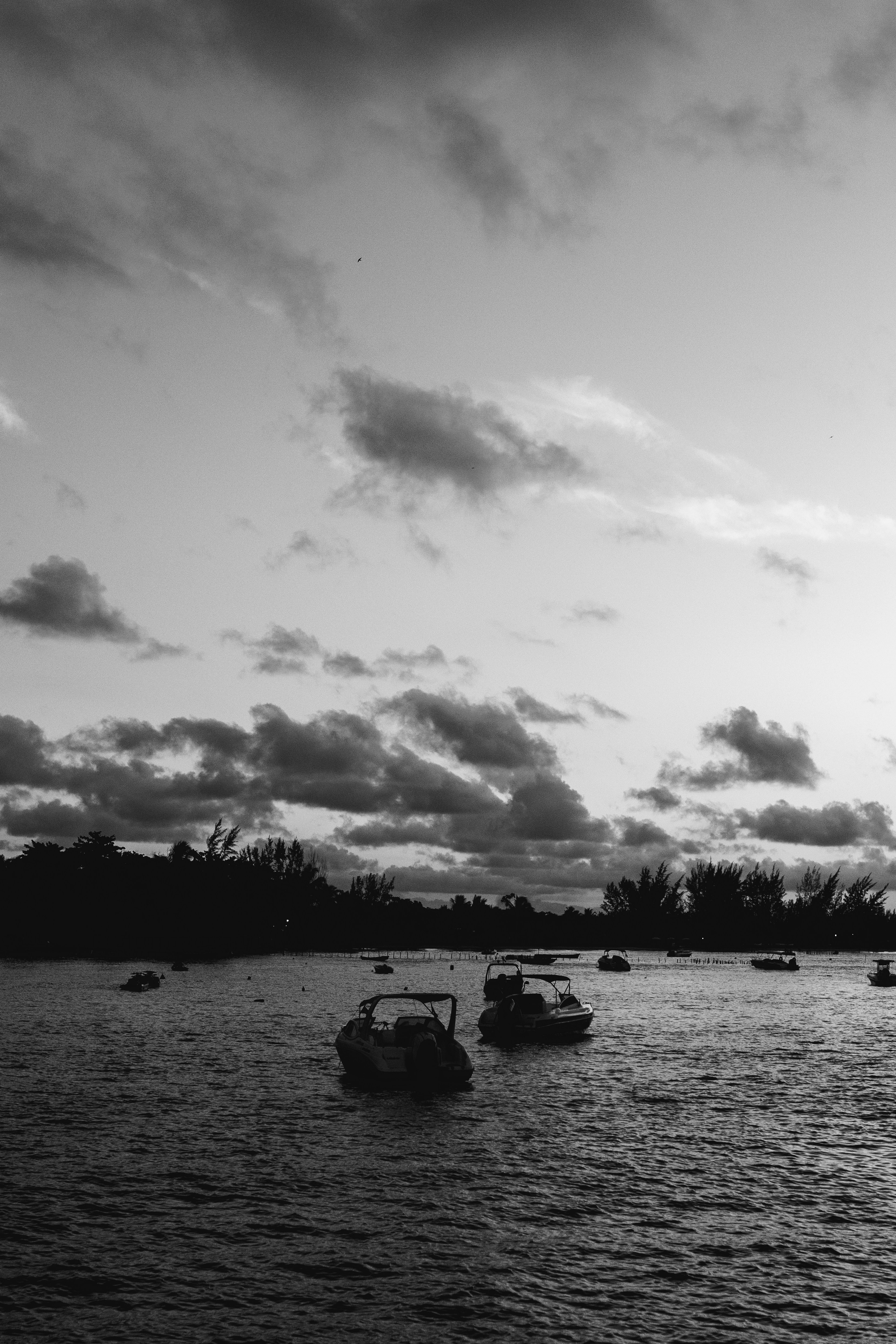 Photo by jonathanborba