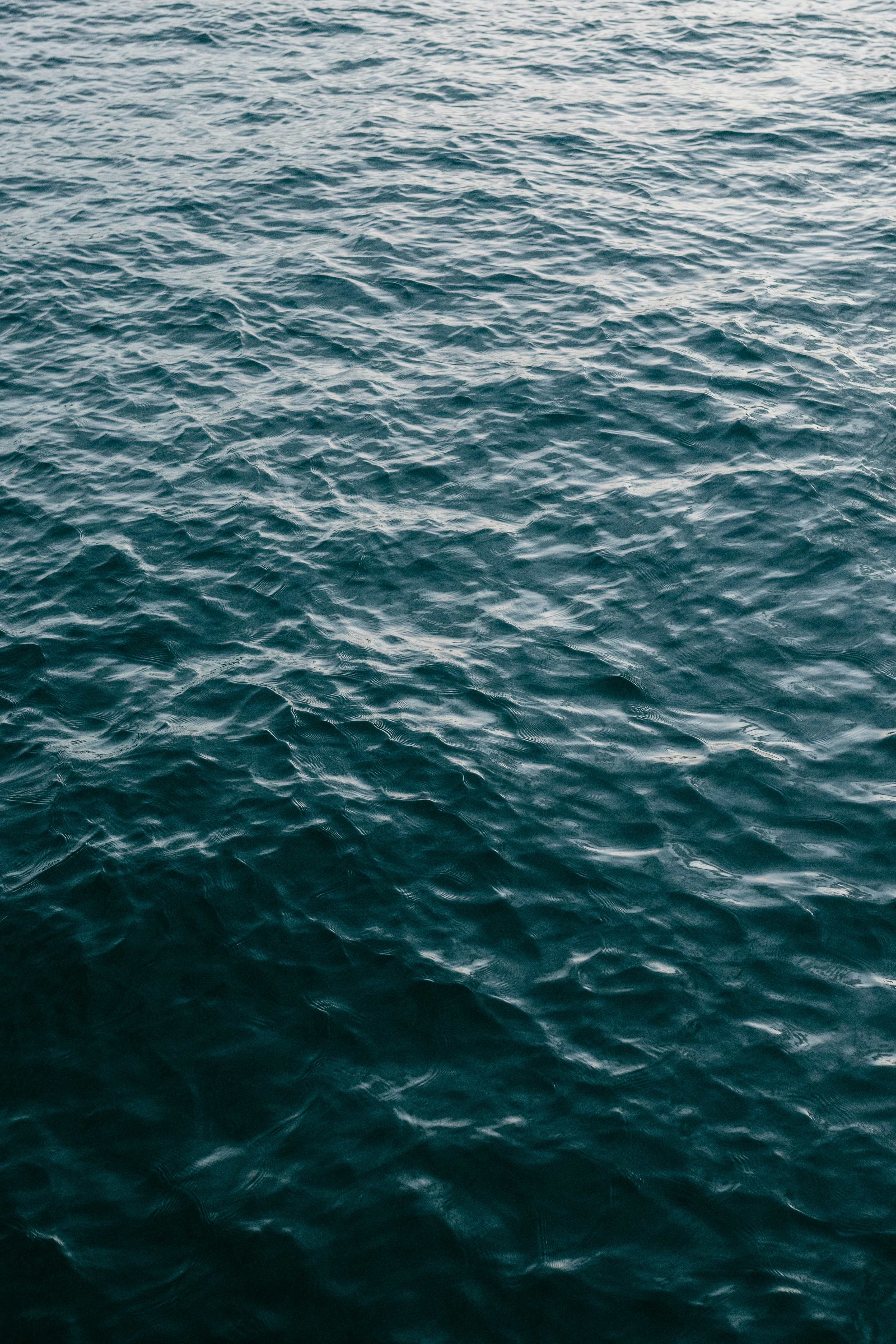 Photo by jonathanborba