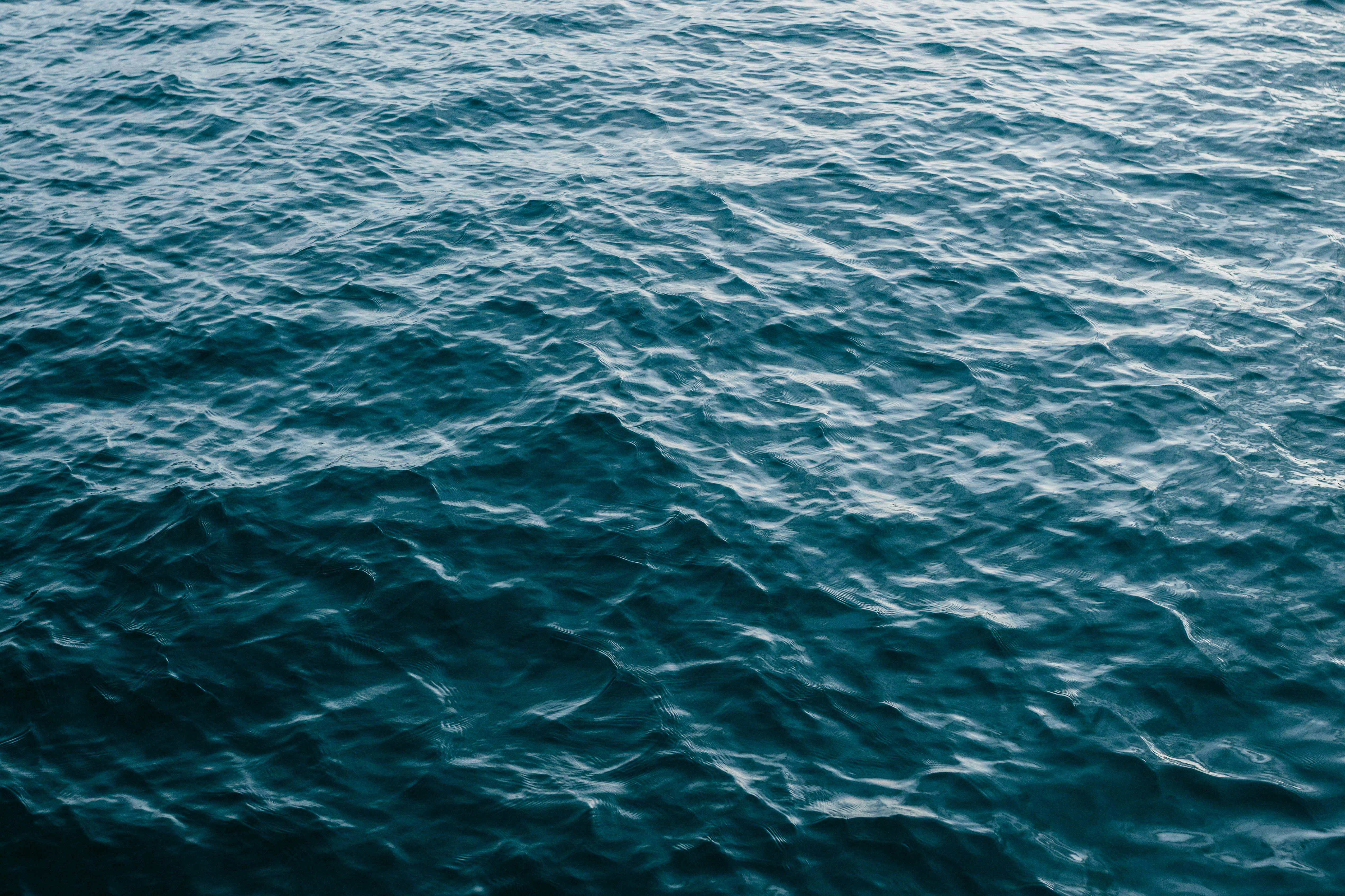 Photo by jonathanborba