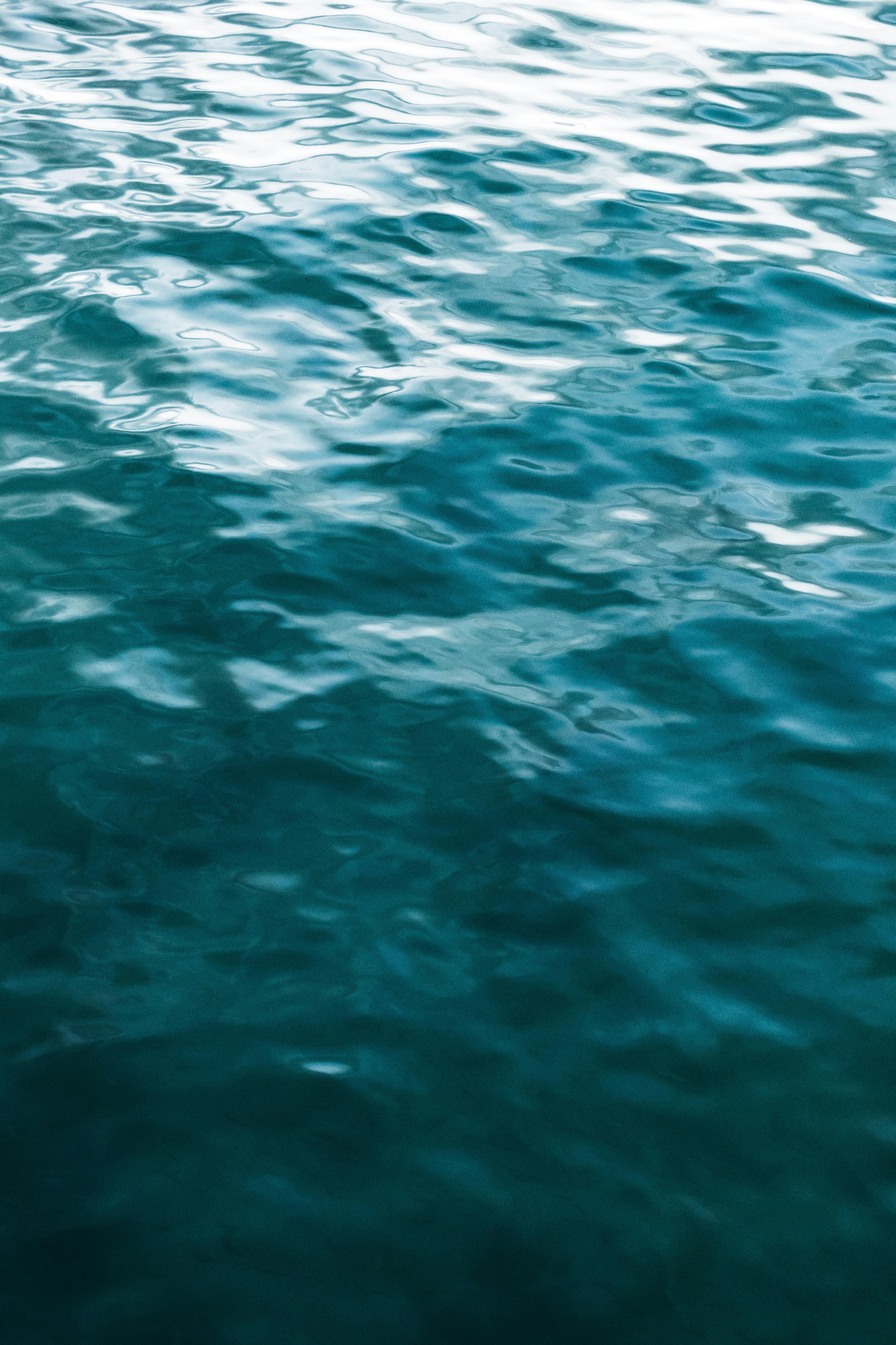 Photo by jonathanborba