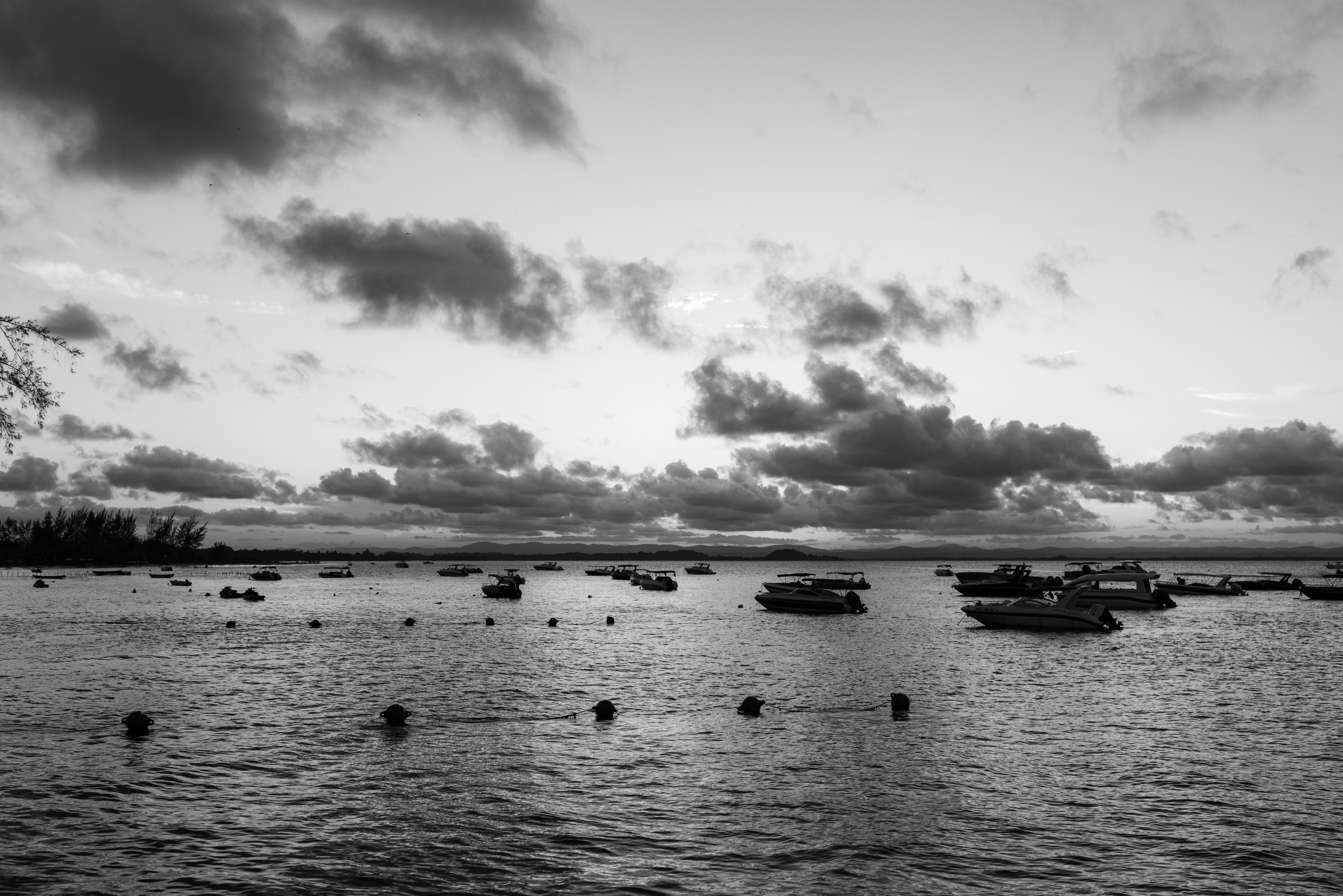 Photo by jonathanborba