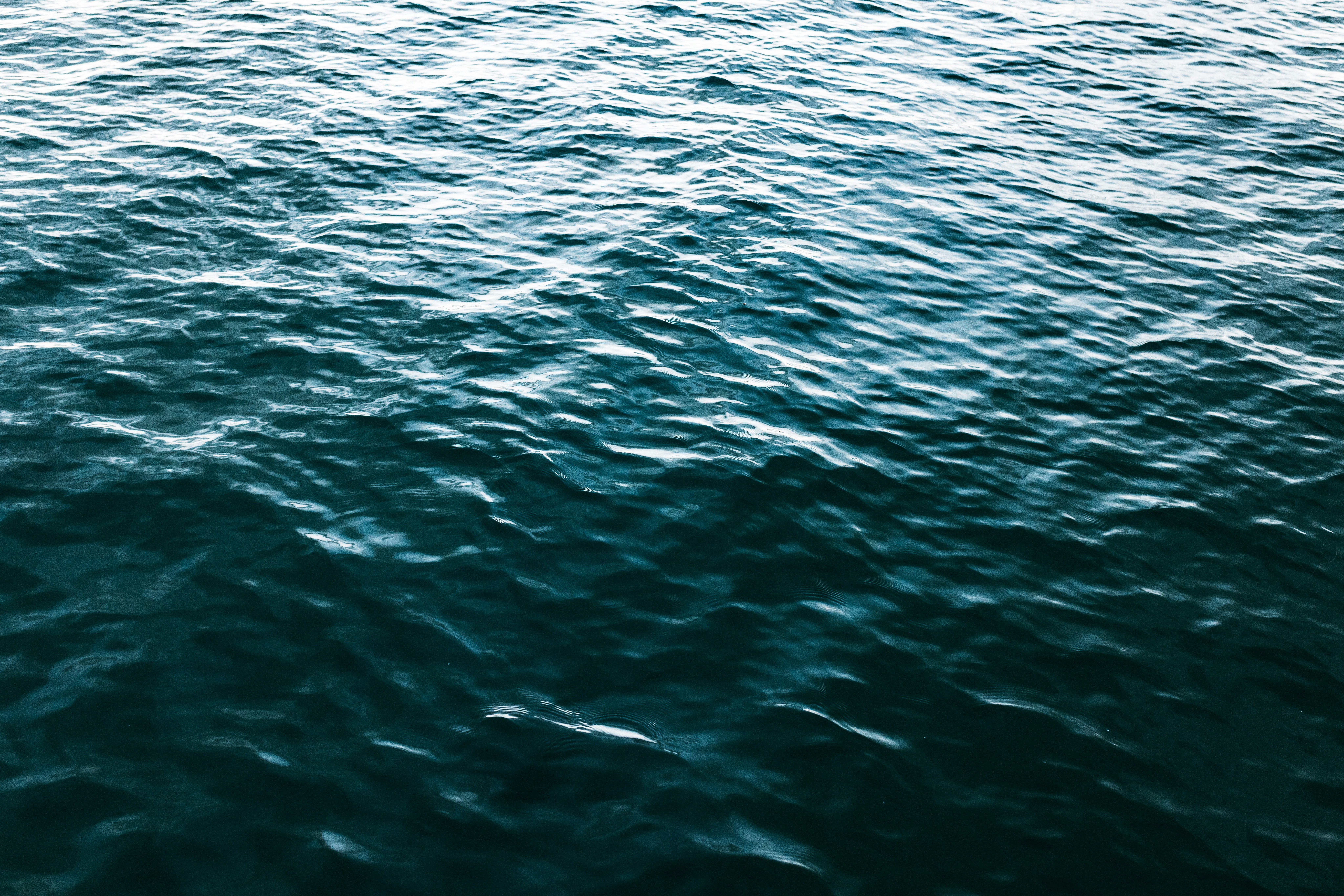 Photo by jonathanborba