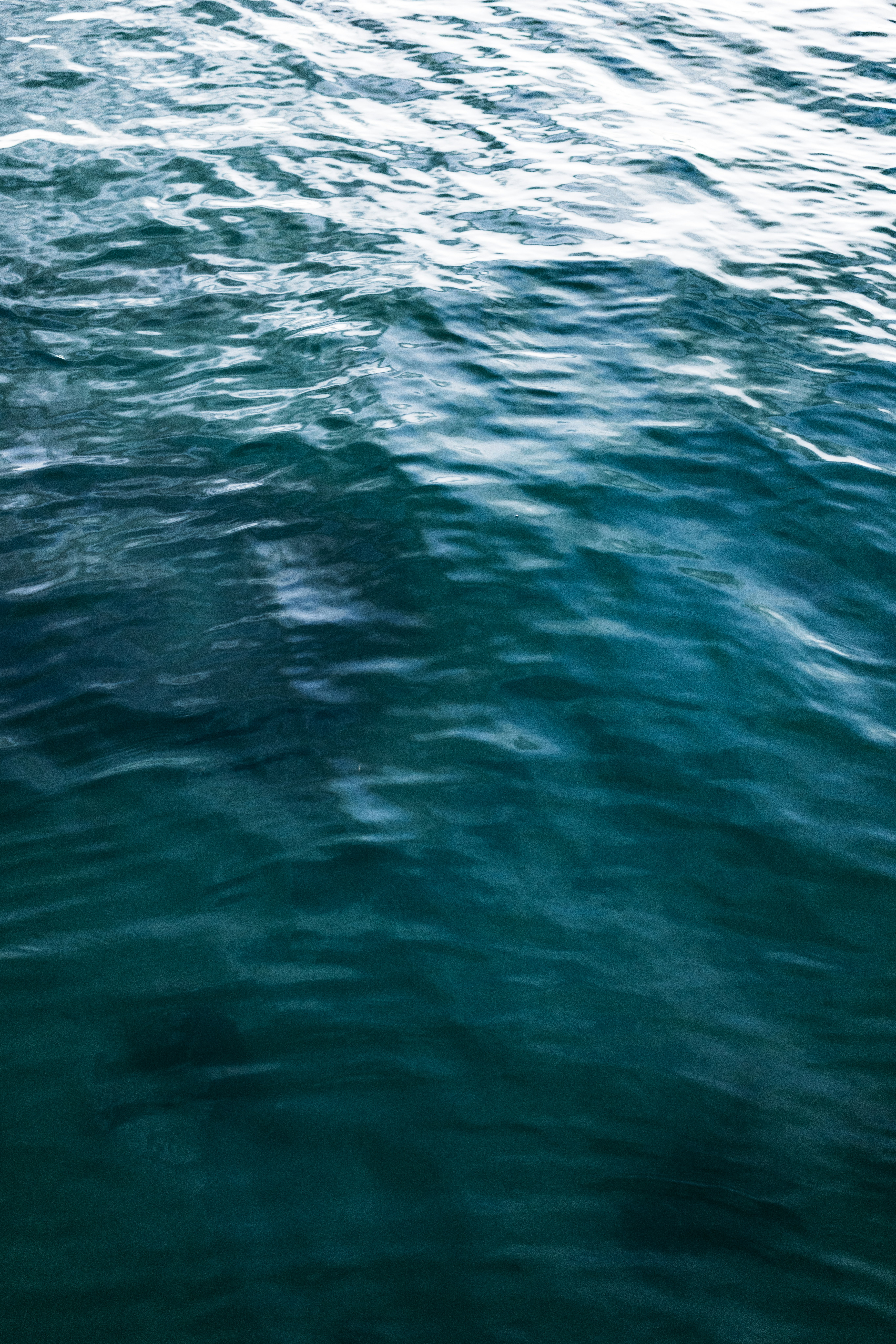 Photo by jonathanborba