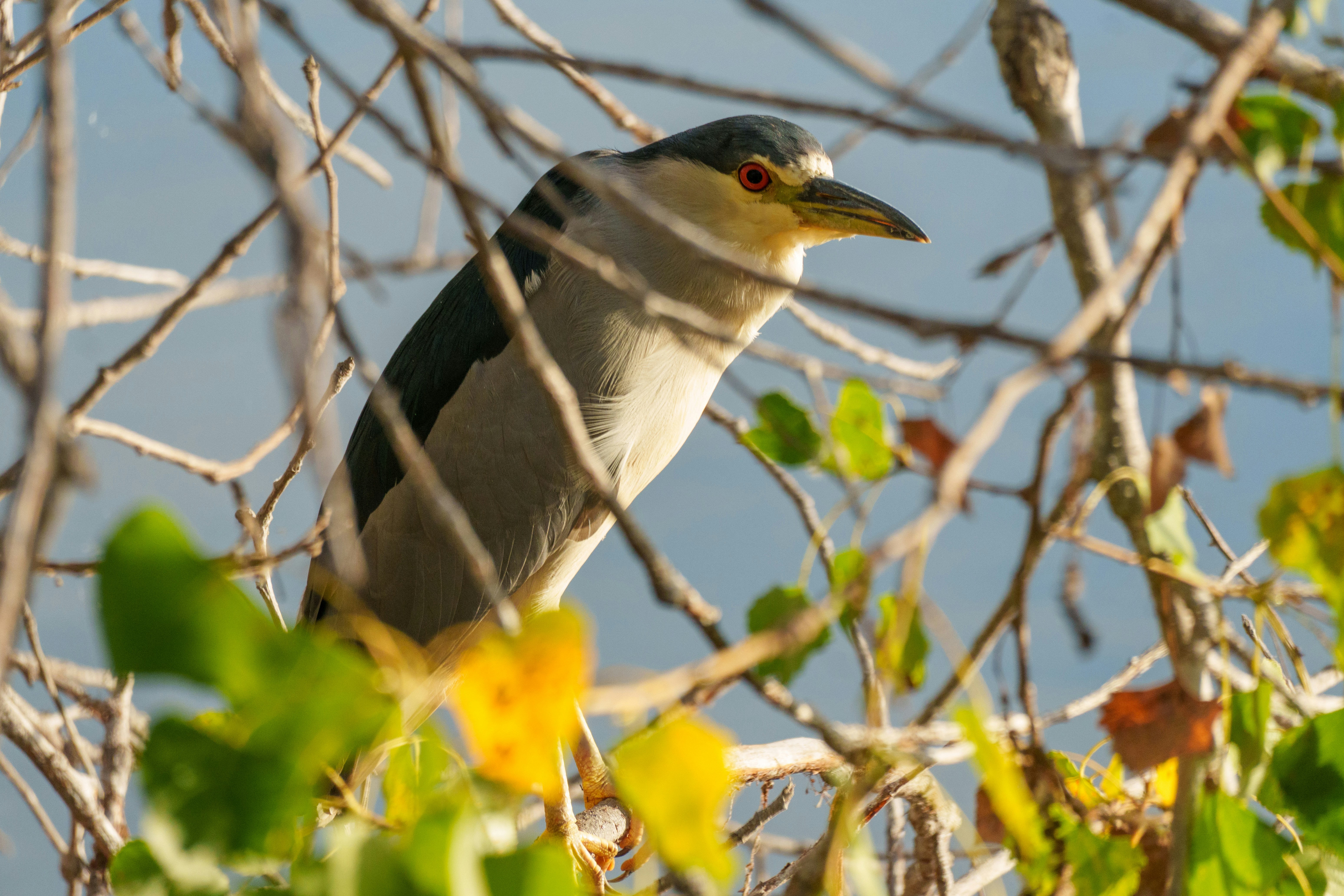 Photo by sizzle_king