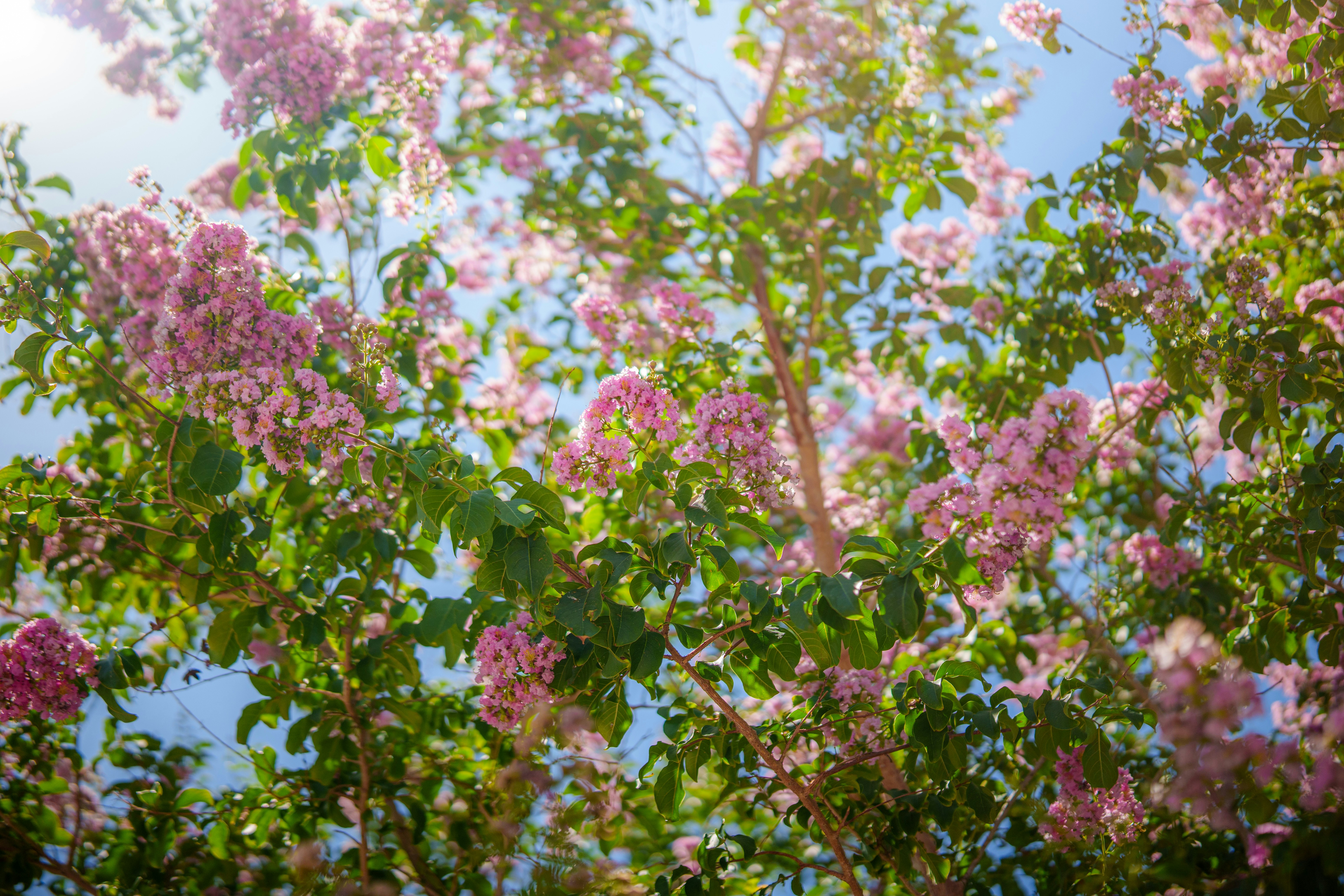 Photo by sizzle_king