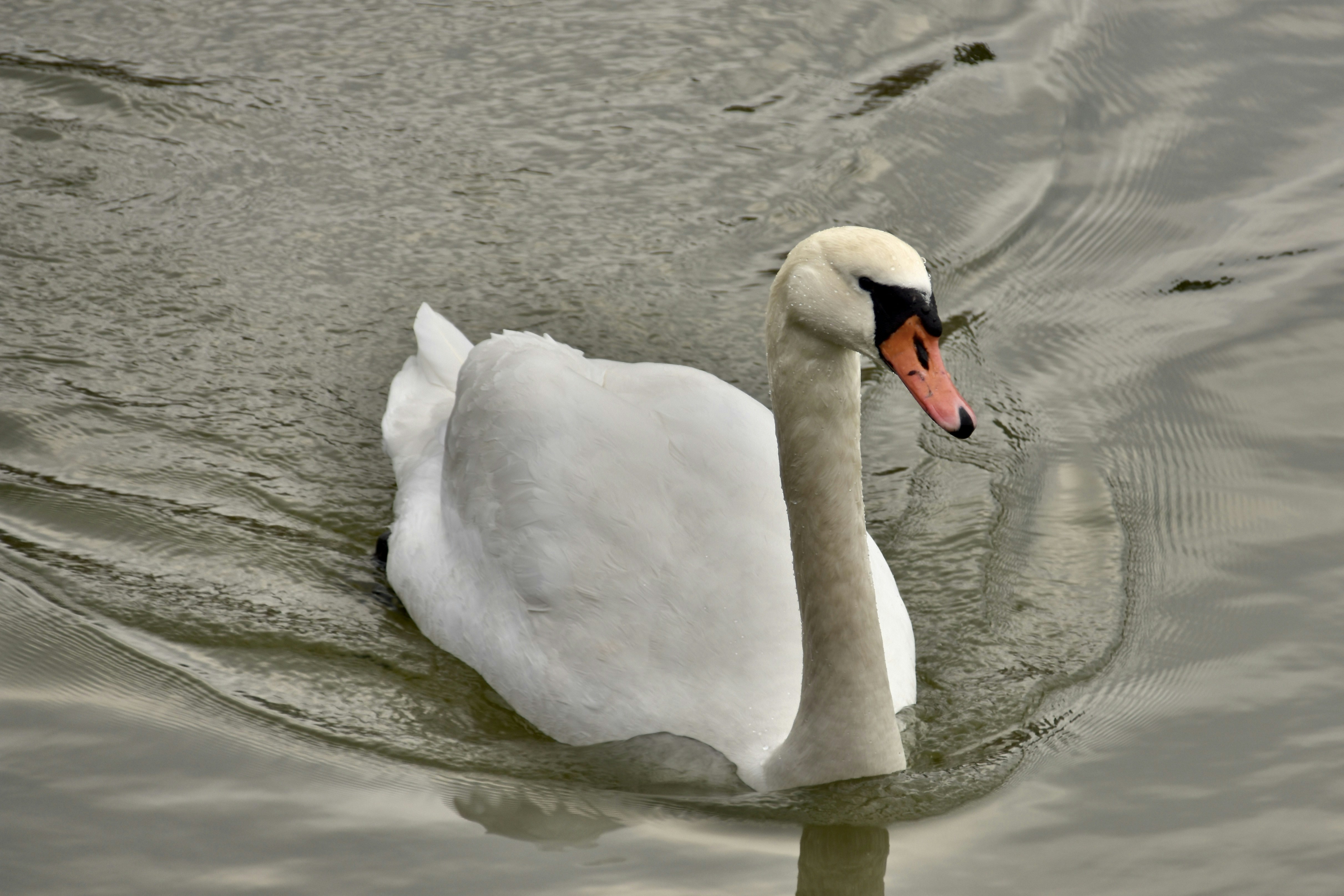 Photo by mariobeducci