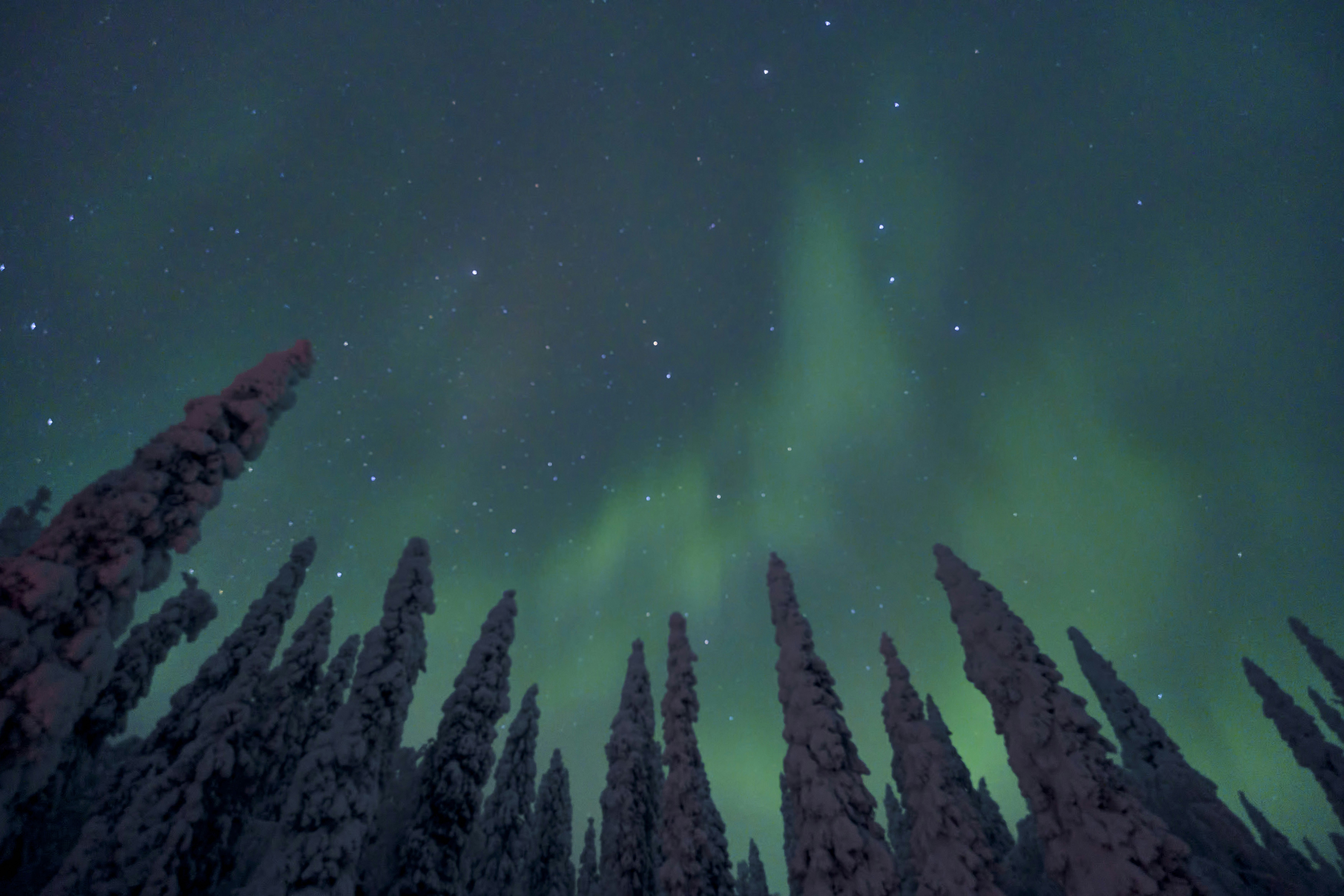 Photo by wolfgang_hasselmann