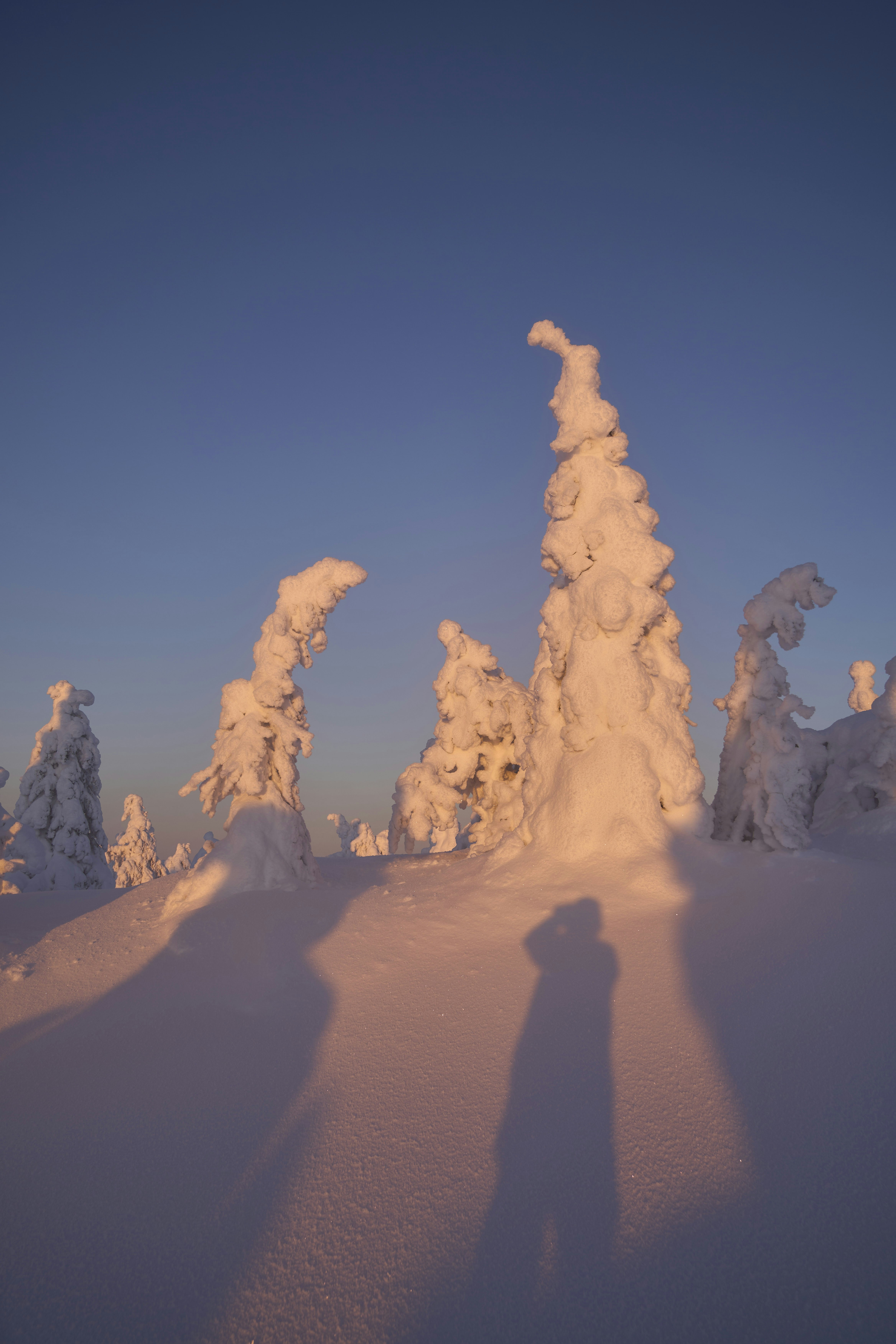 Photo by wolfgang_hasselmann