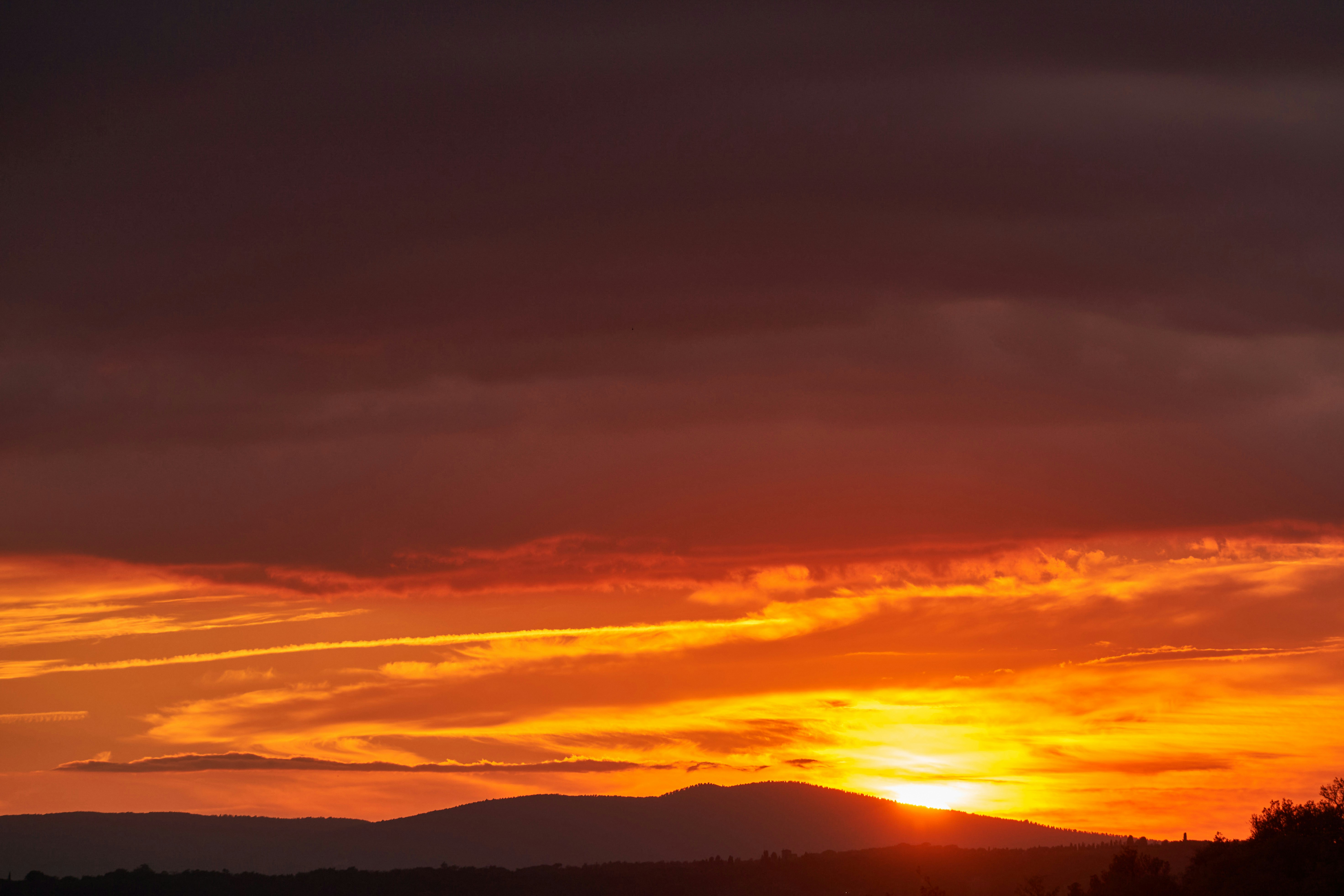 Photo by wolfgang_hasselmann