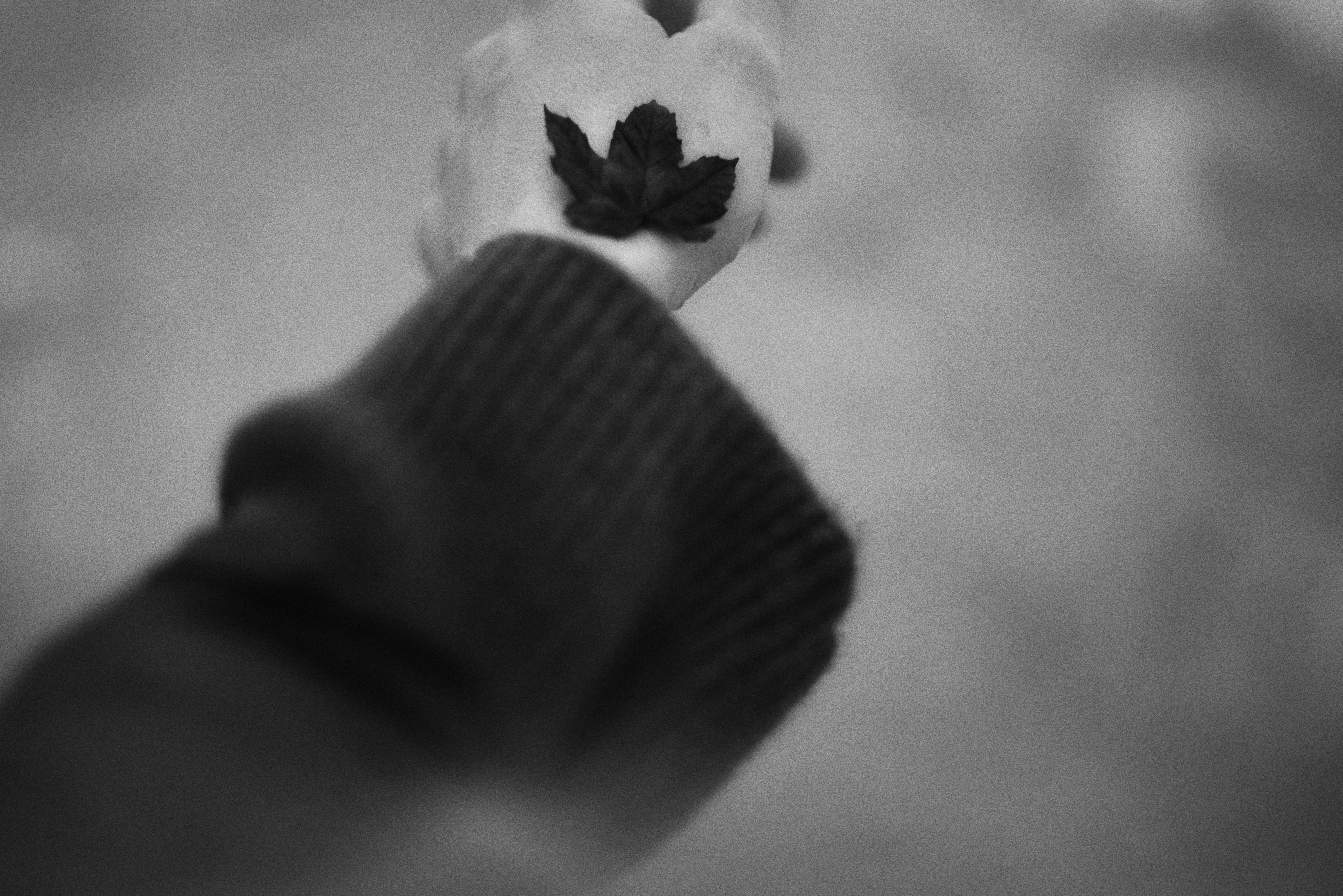 Photo by cherstve_pechivo