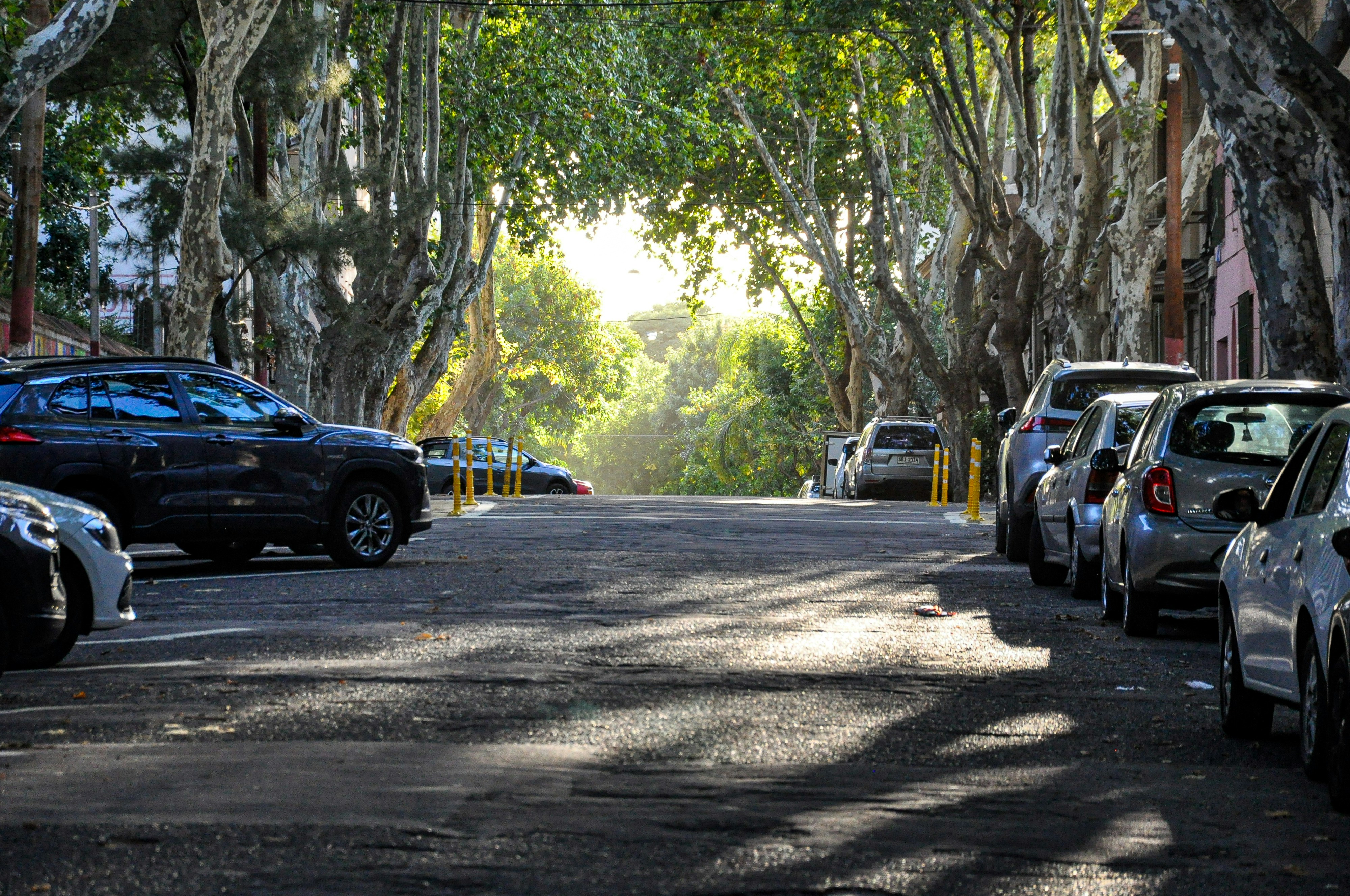 Photo by nikolaikolosov