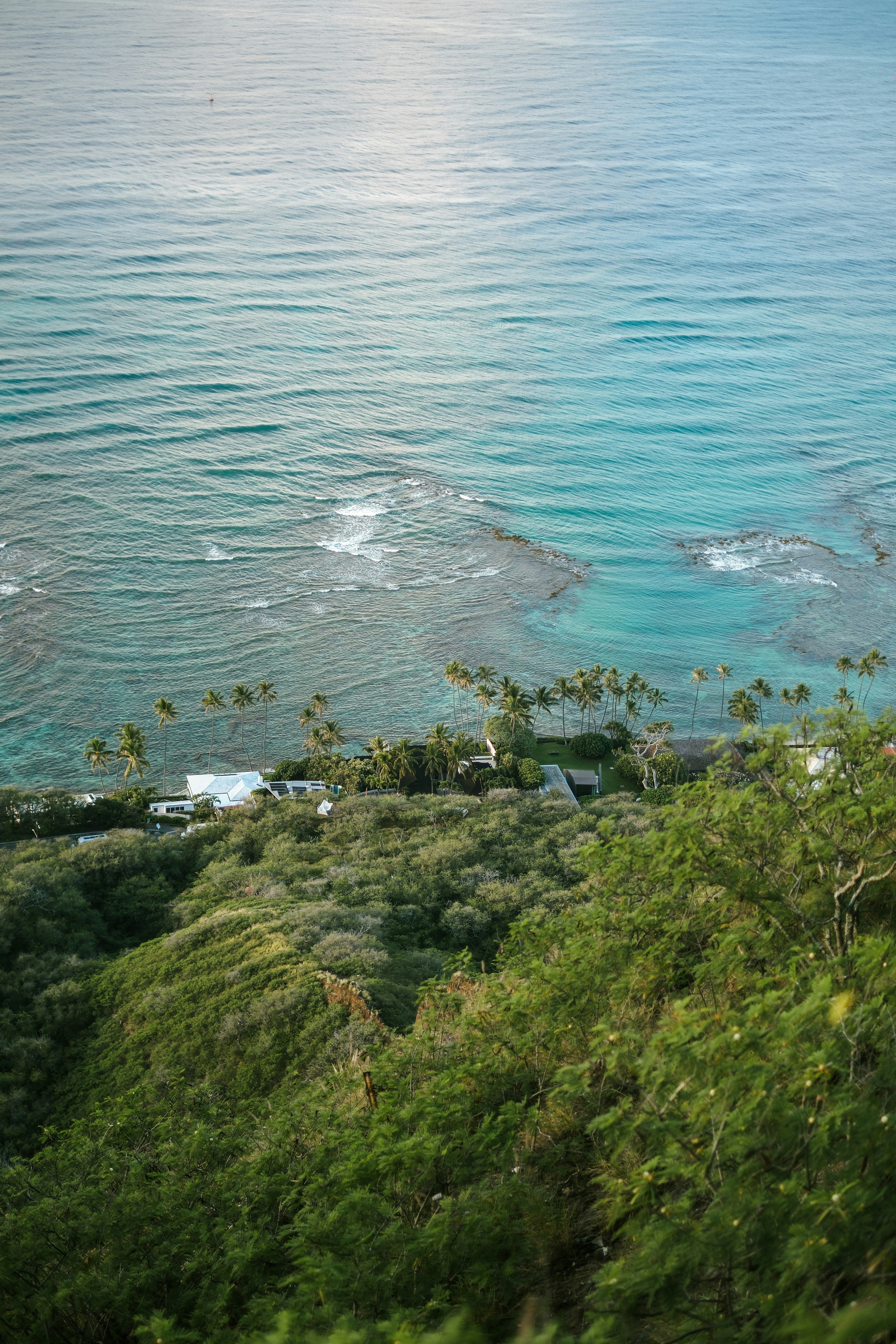 Photo by raegocreative