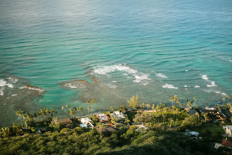 Coastal homes among trees near the ocean