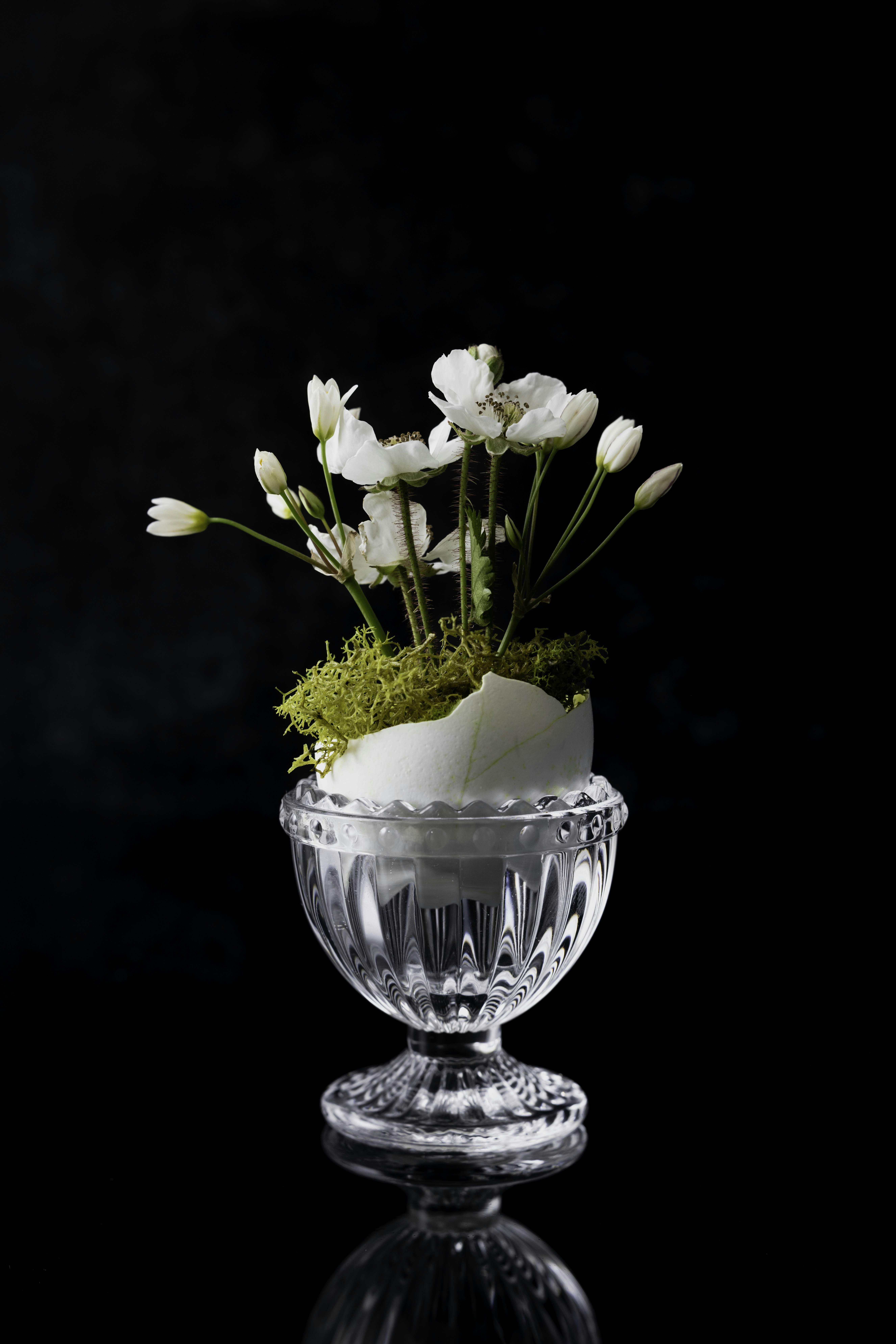 Photo by native7photo