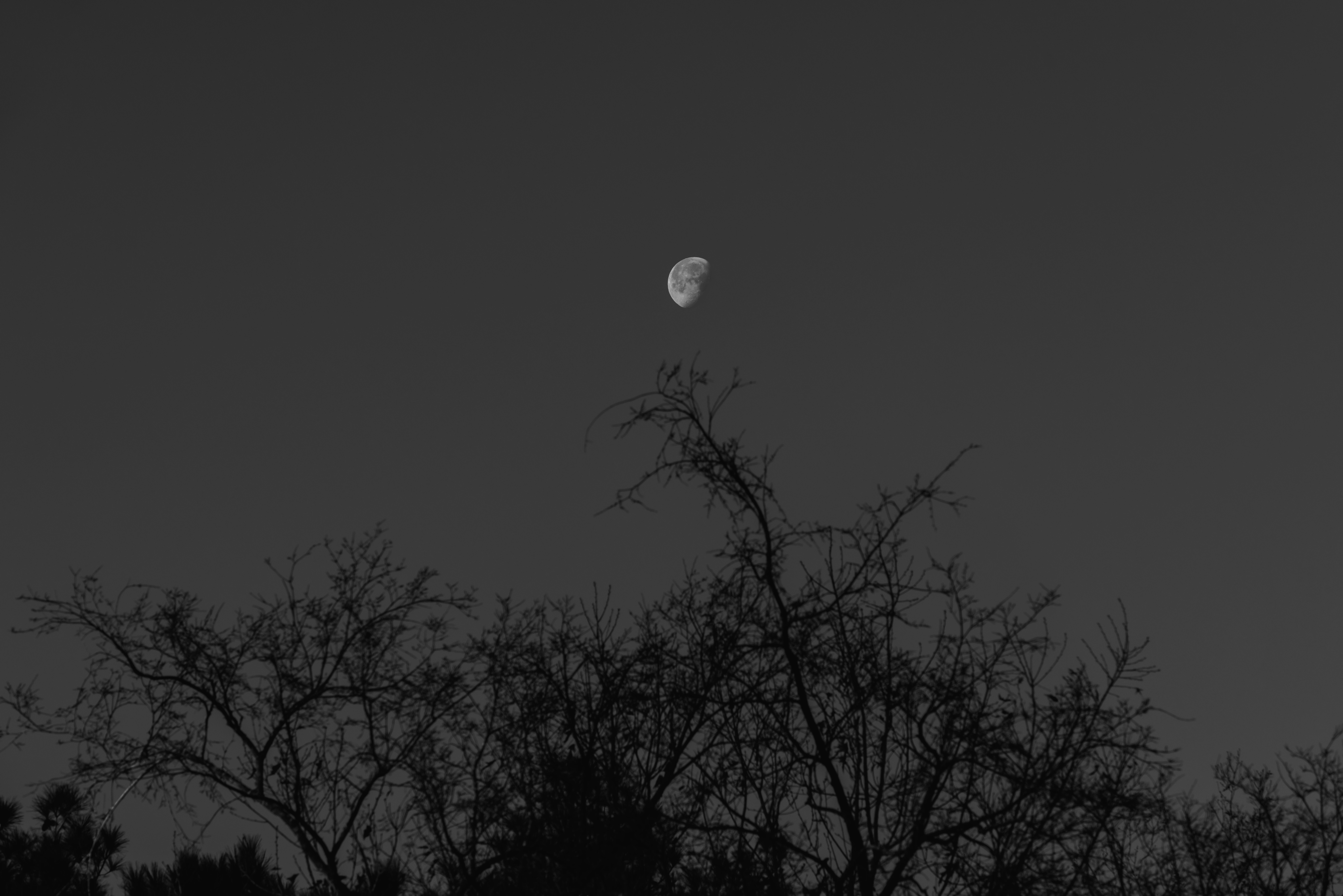 Photo by native7photo