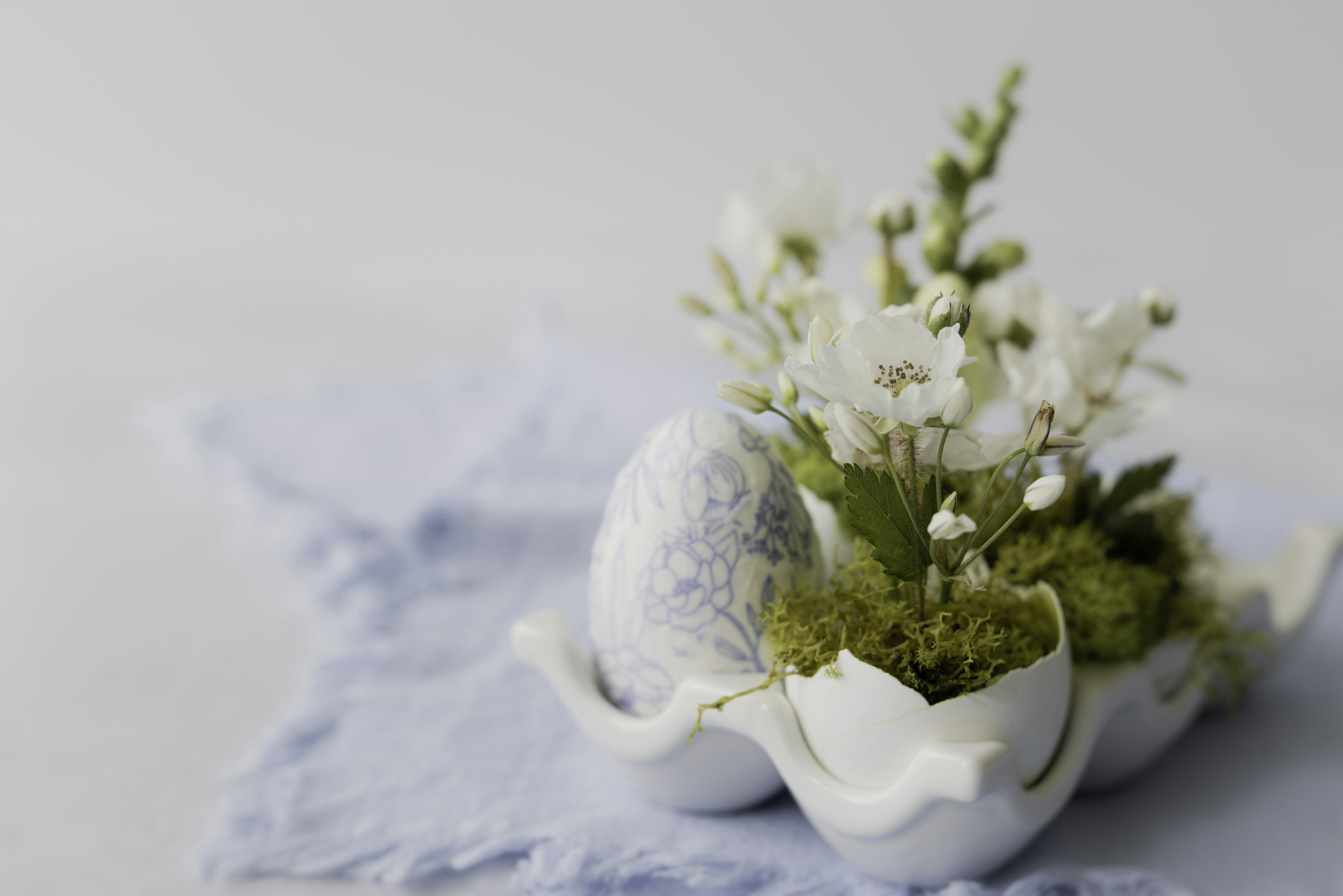 Photo by native7photo