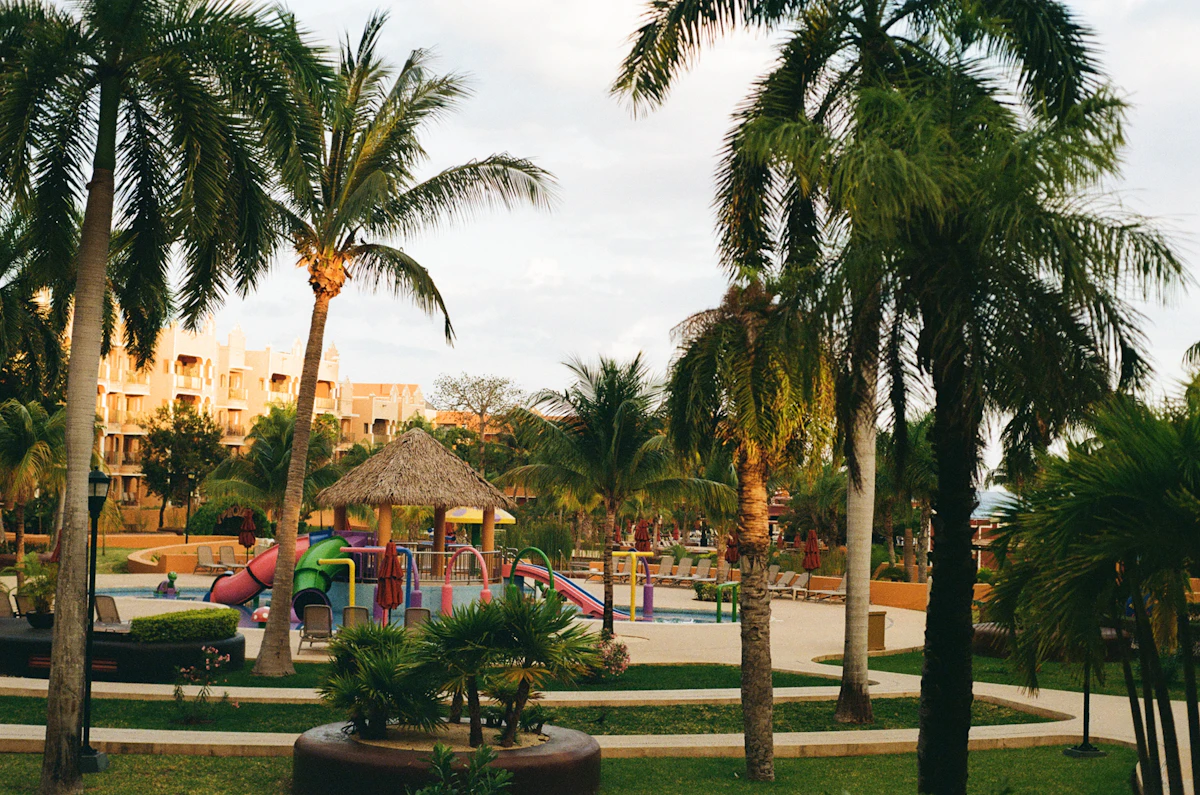 Resort playground and pool area surrounded by palm trees