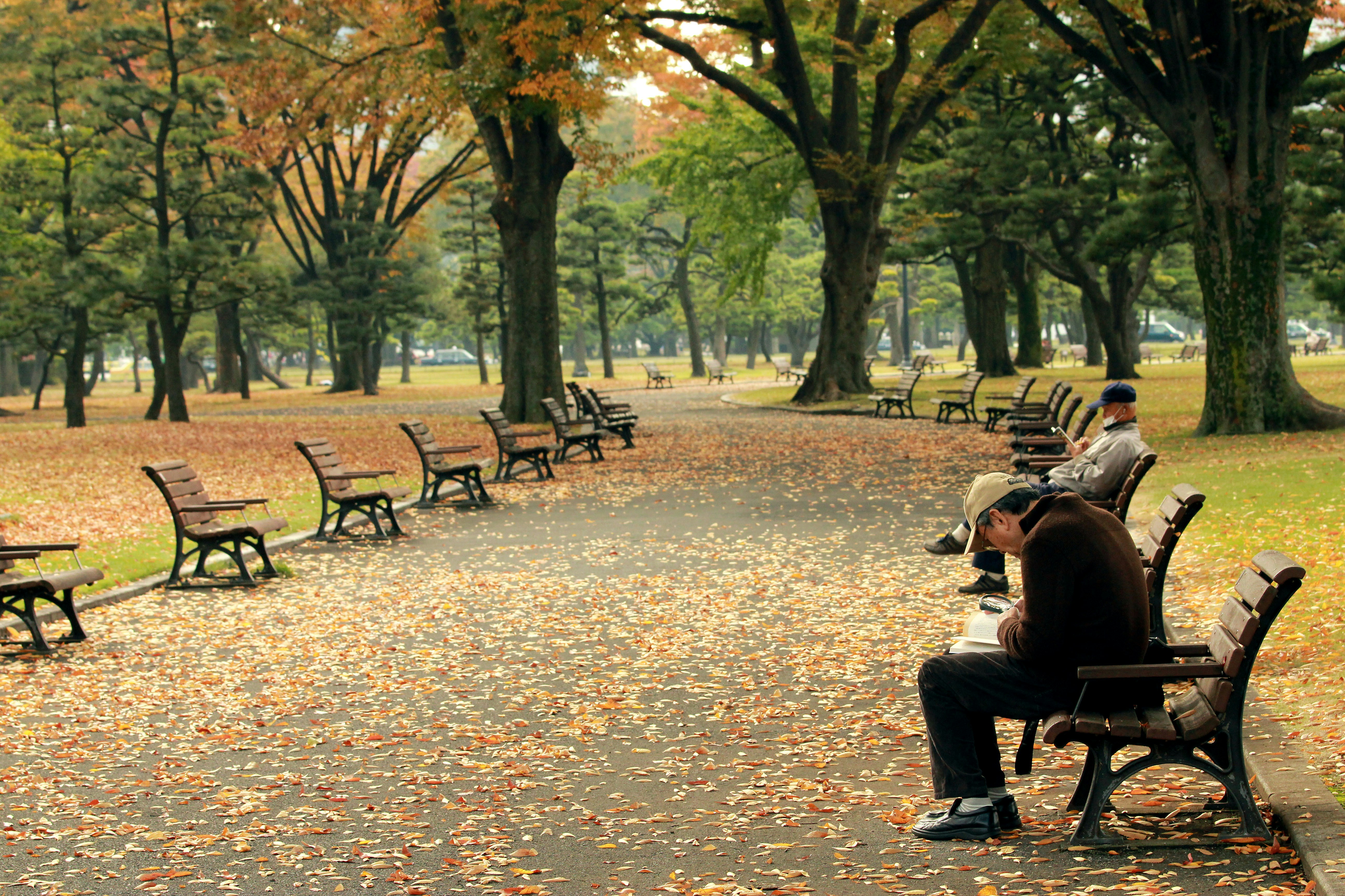 Photo by fontesvitor