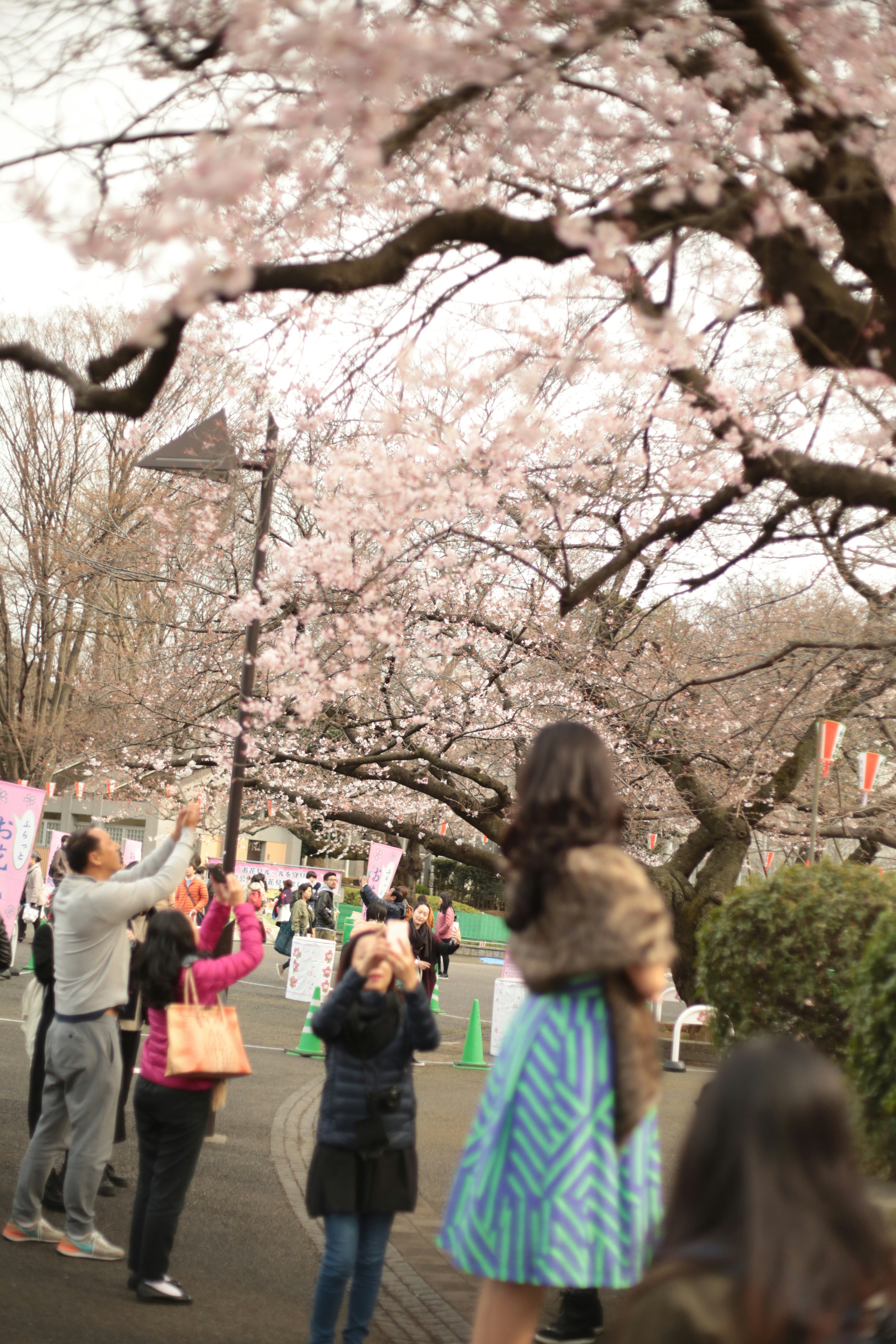 Photo by fontesvitor