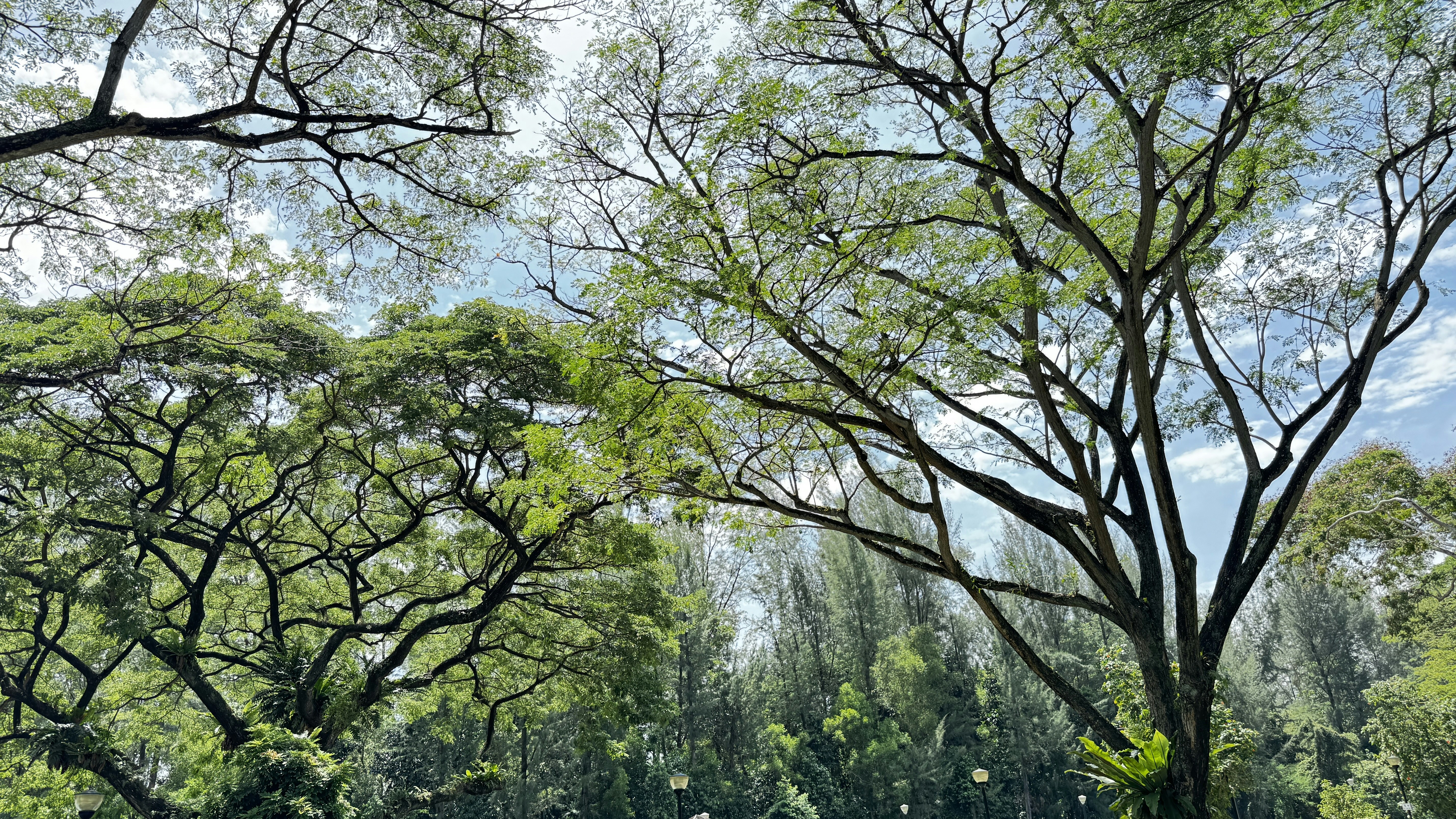 Photo by slowdownyourworld