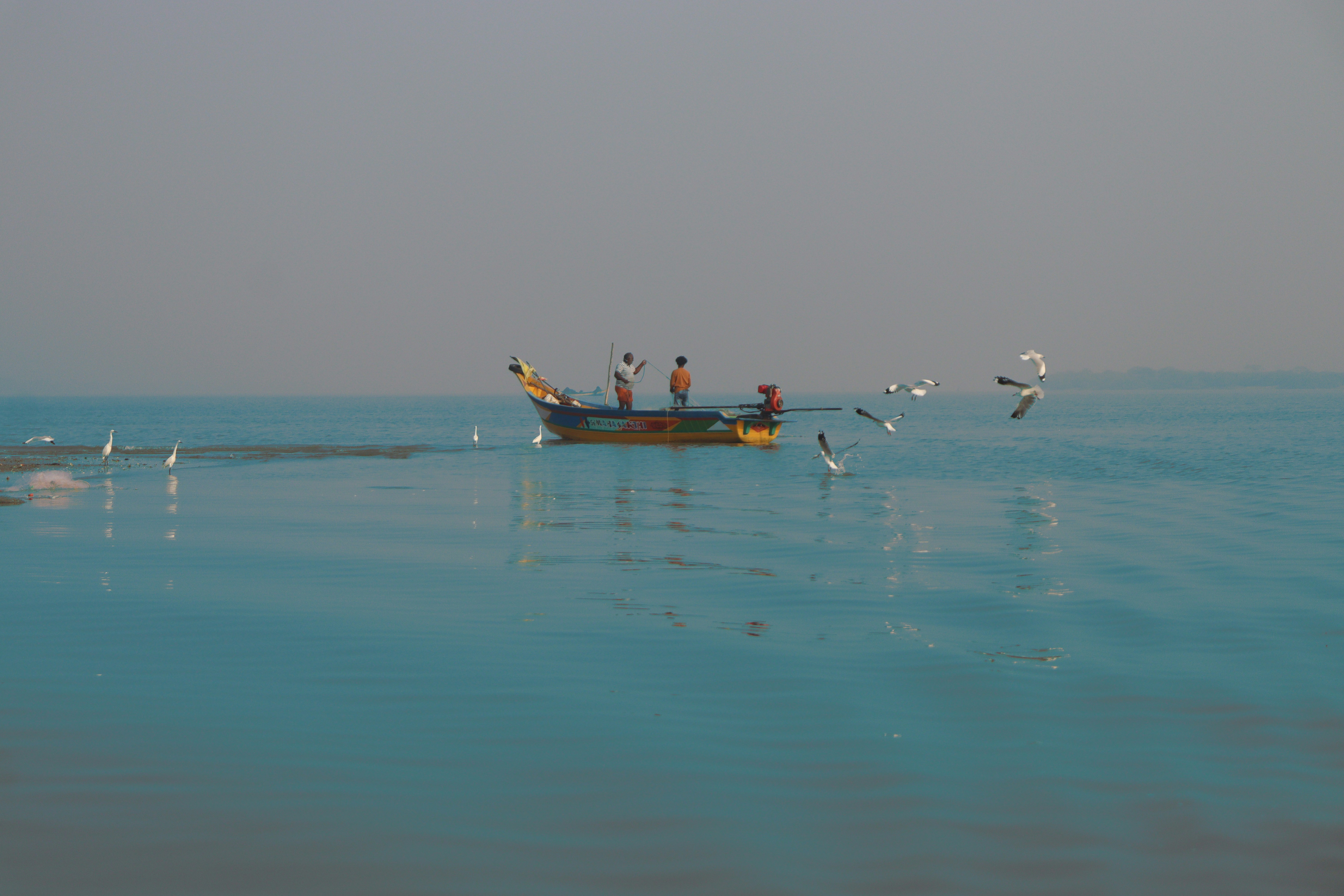 カモメが飛び回る船の漁師たち