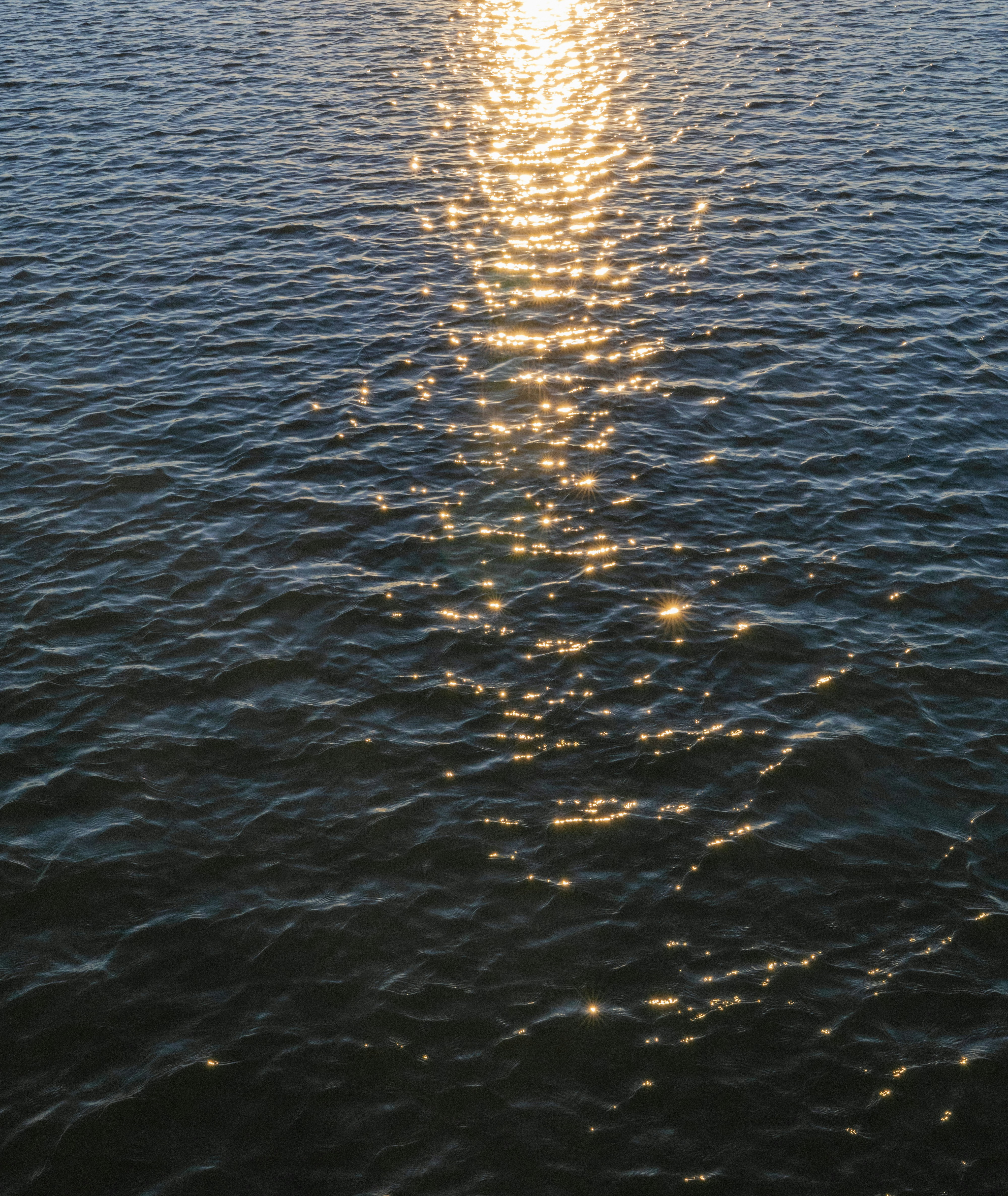 Photo by whopperlover