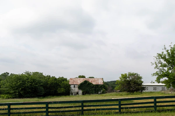 Florence TX lawn care
