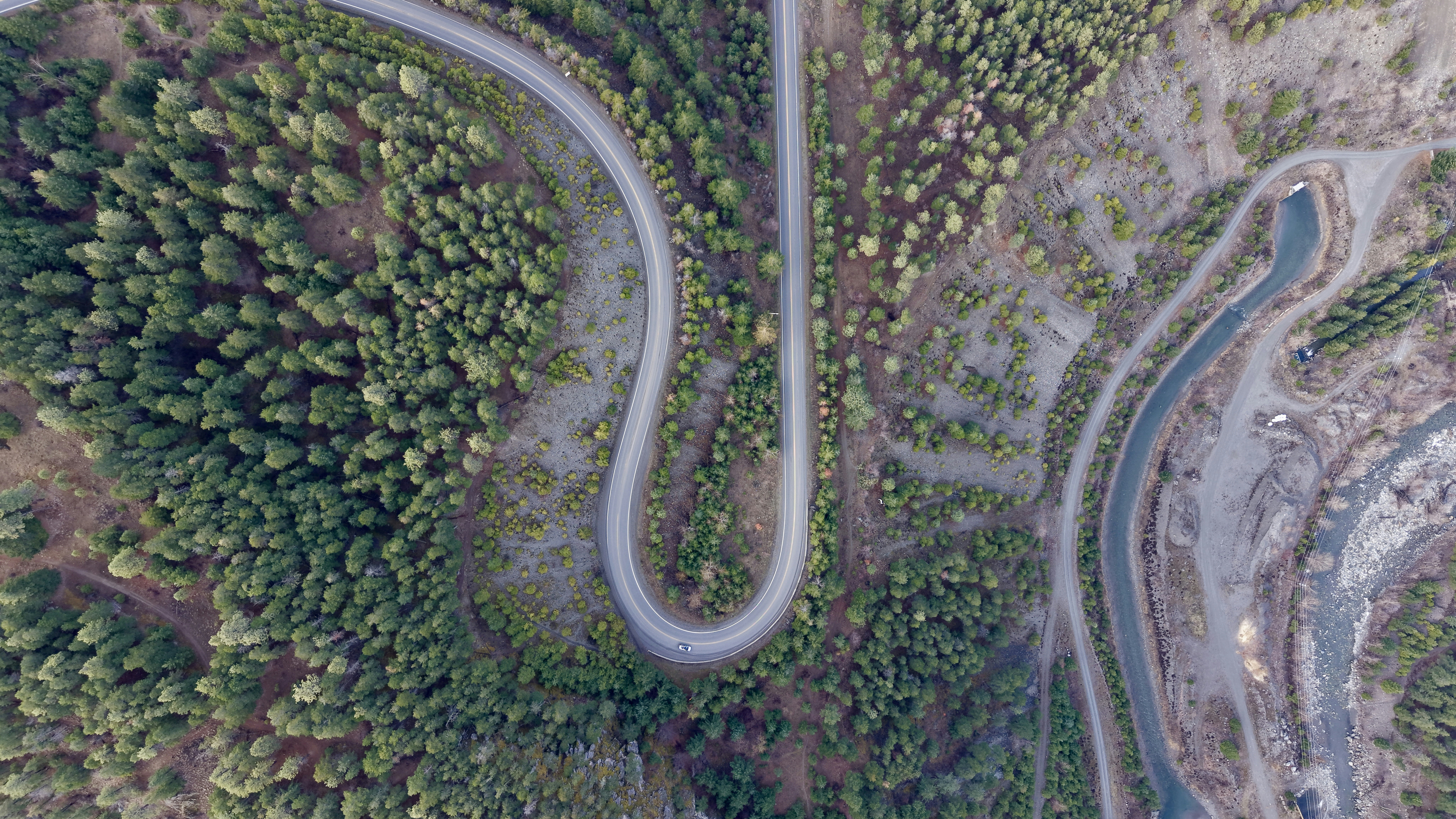 Photo by csebastian123