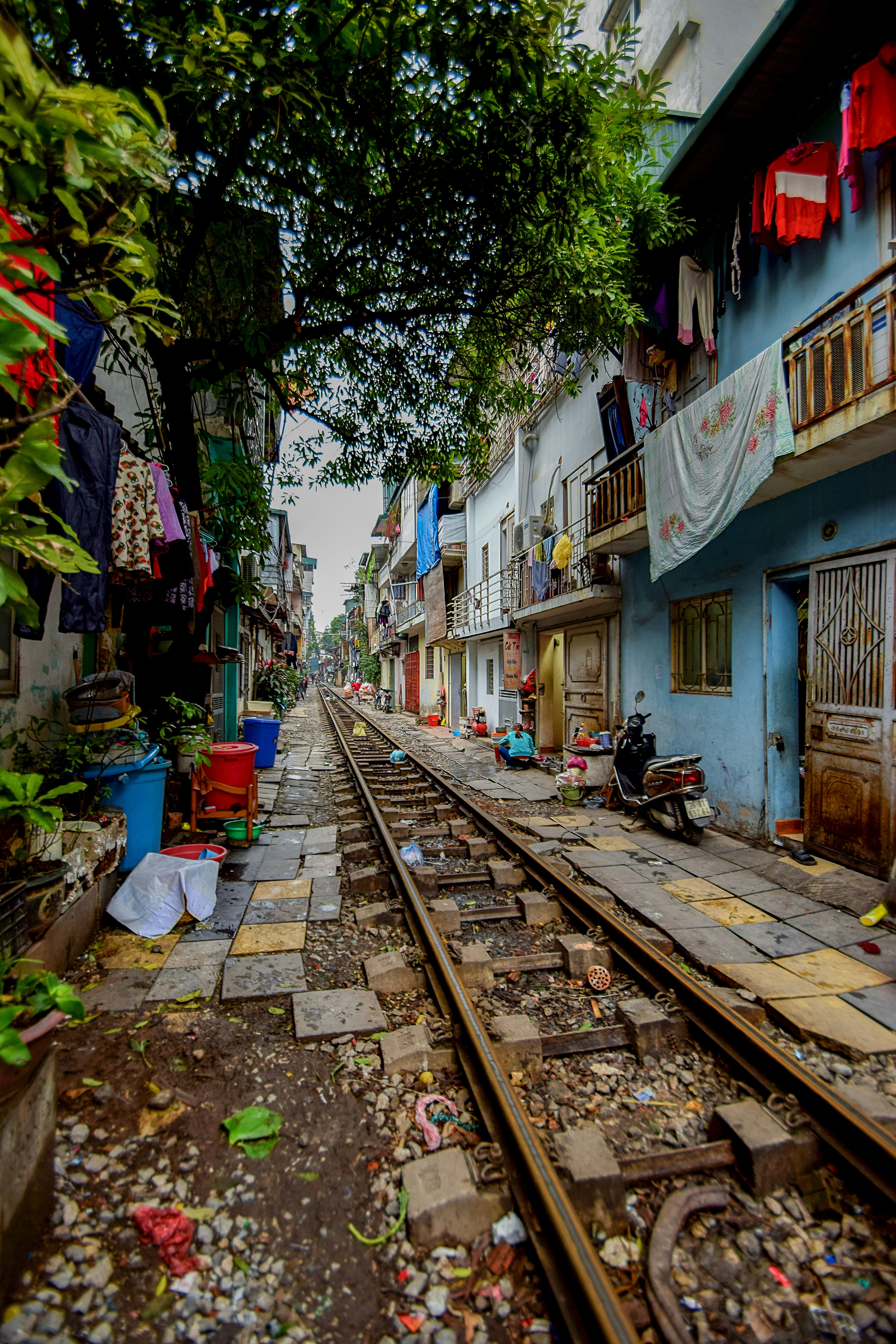 Photo by carolgauthier