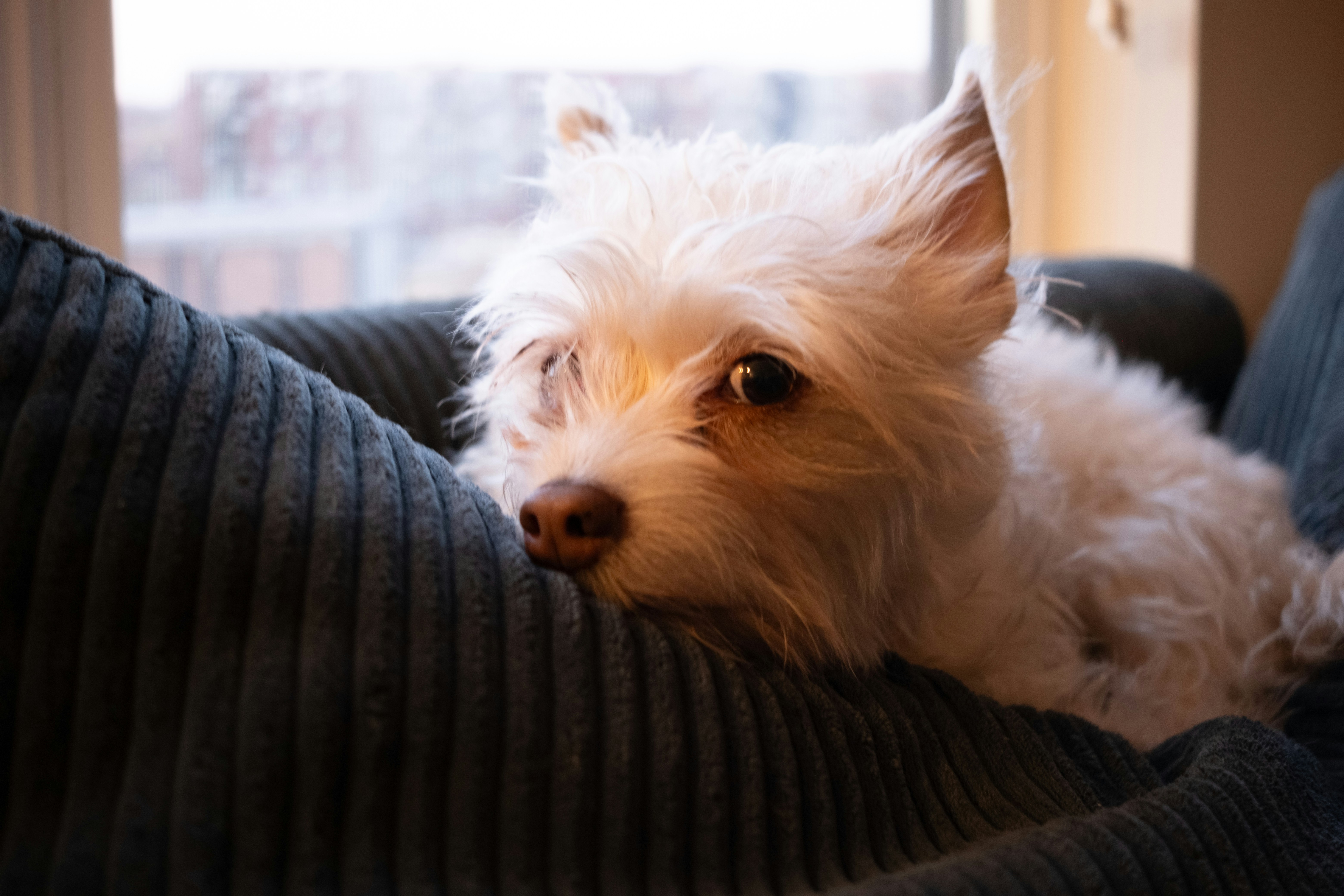 Photo by joshsorenson