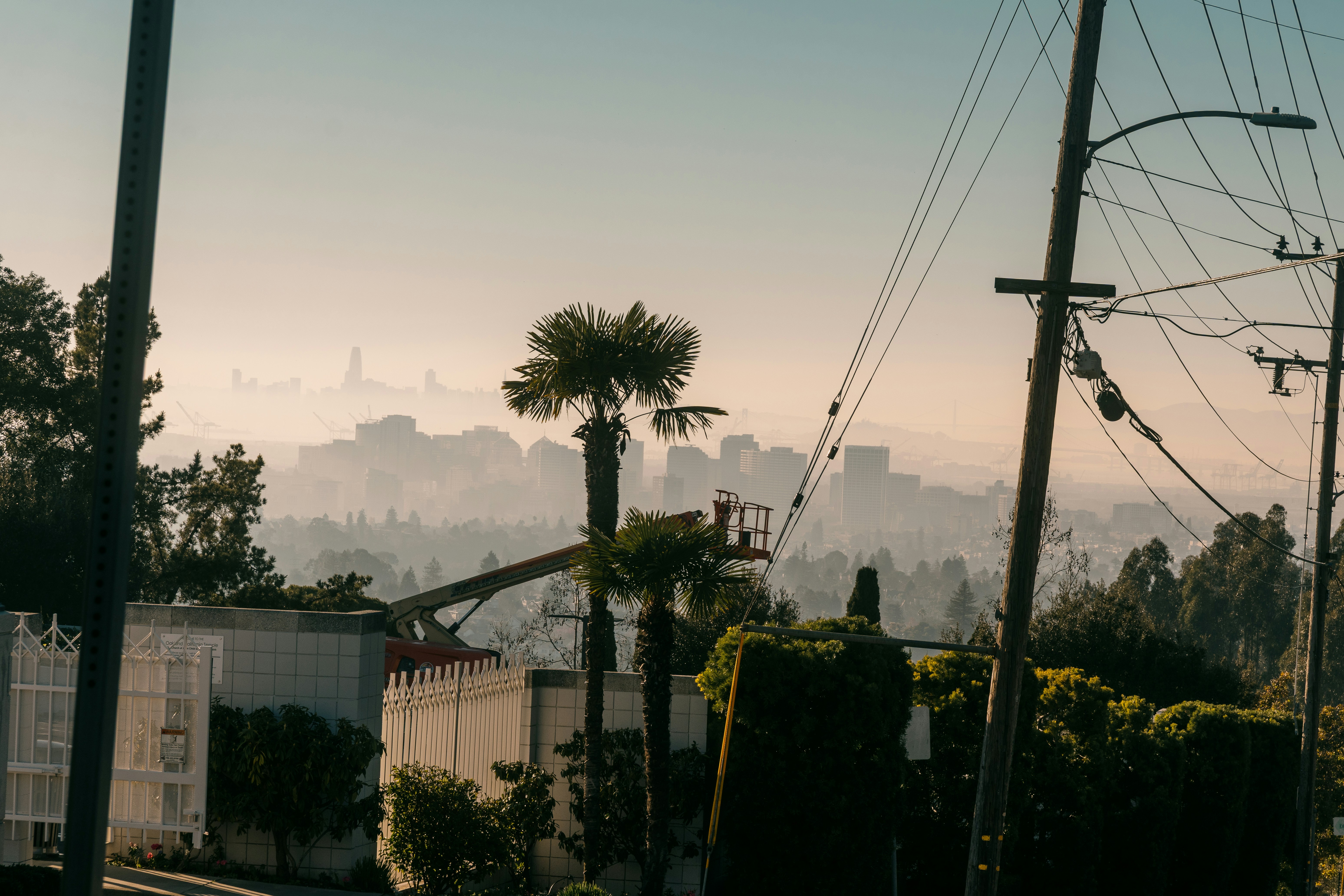 Misty cityscape with palm trees and power lines