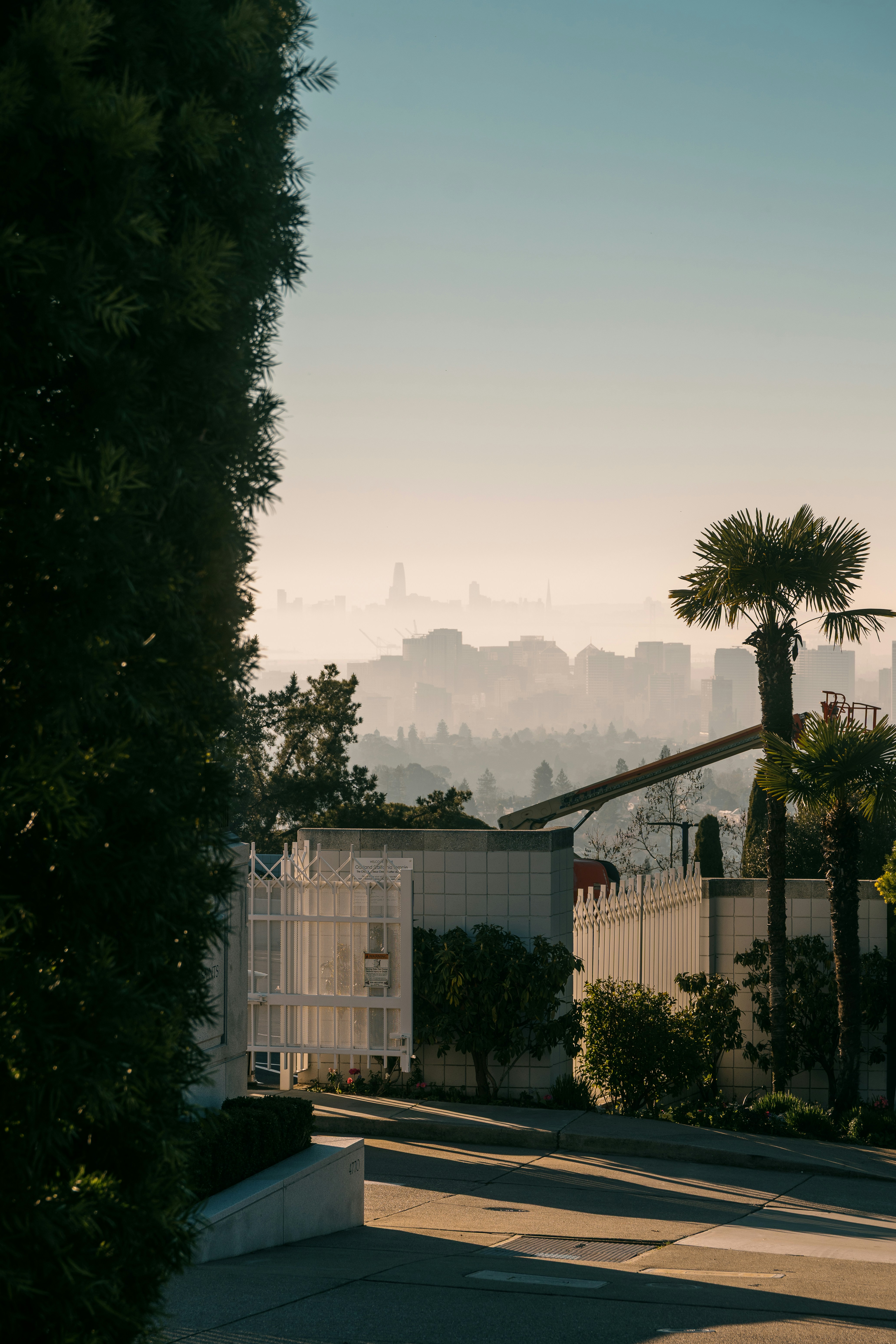 Modern building with palm trees and city skyline