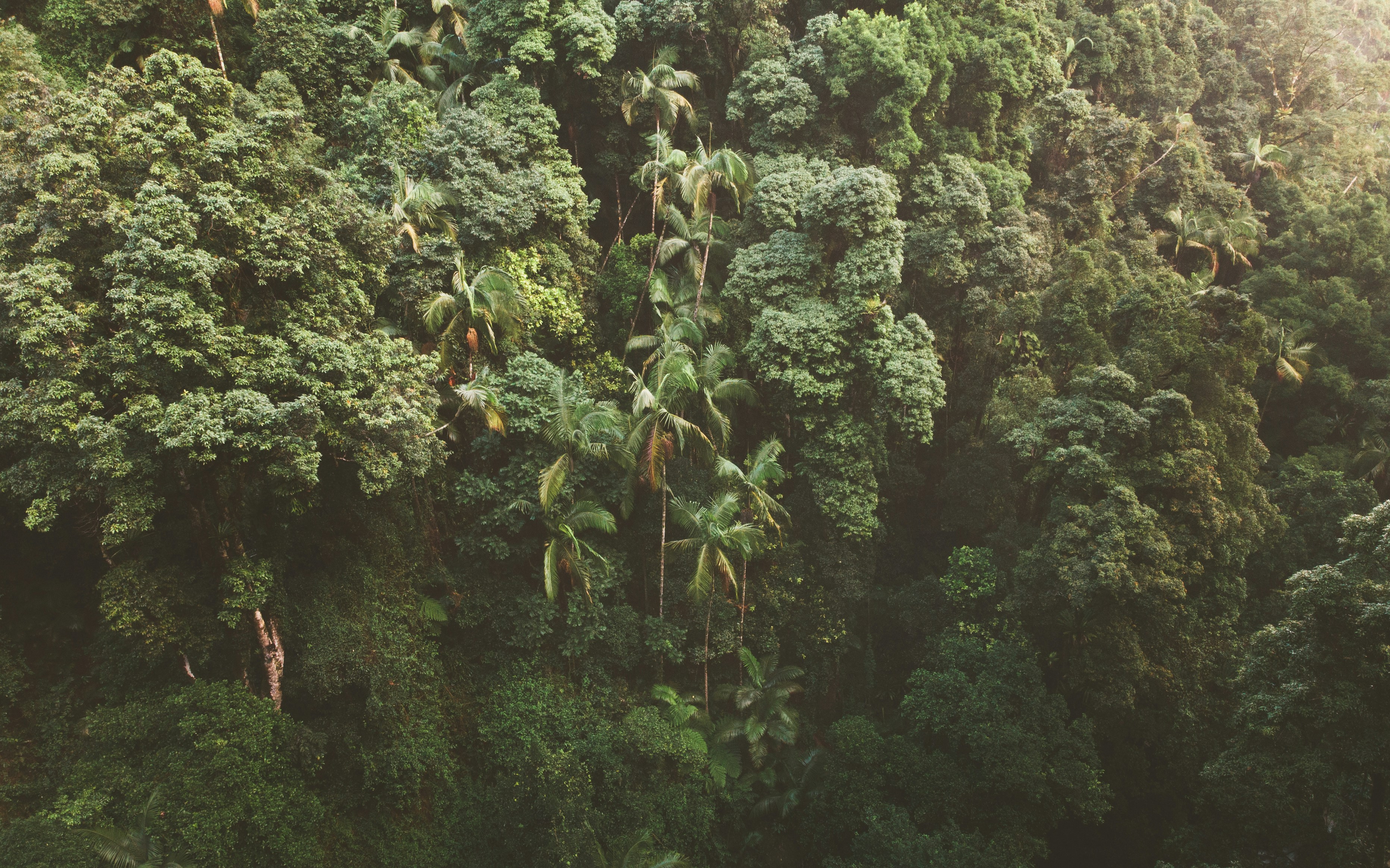 Photo by matthewmosbauer