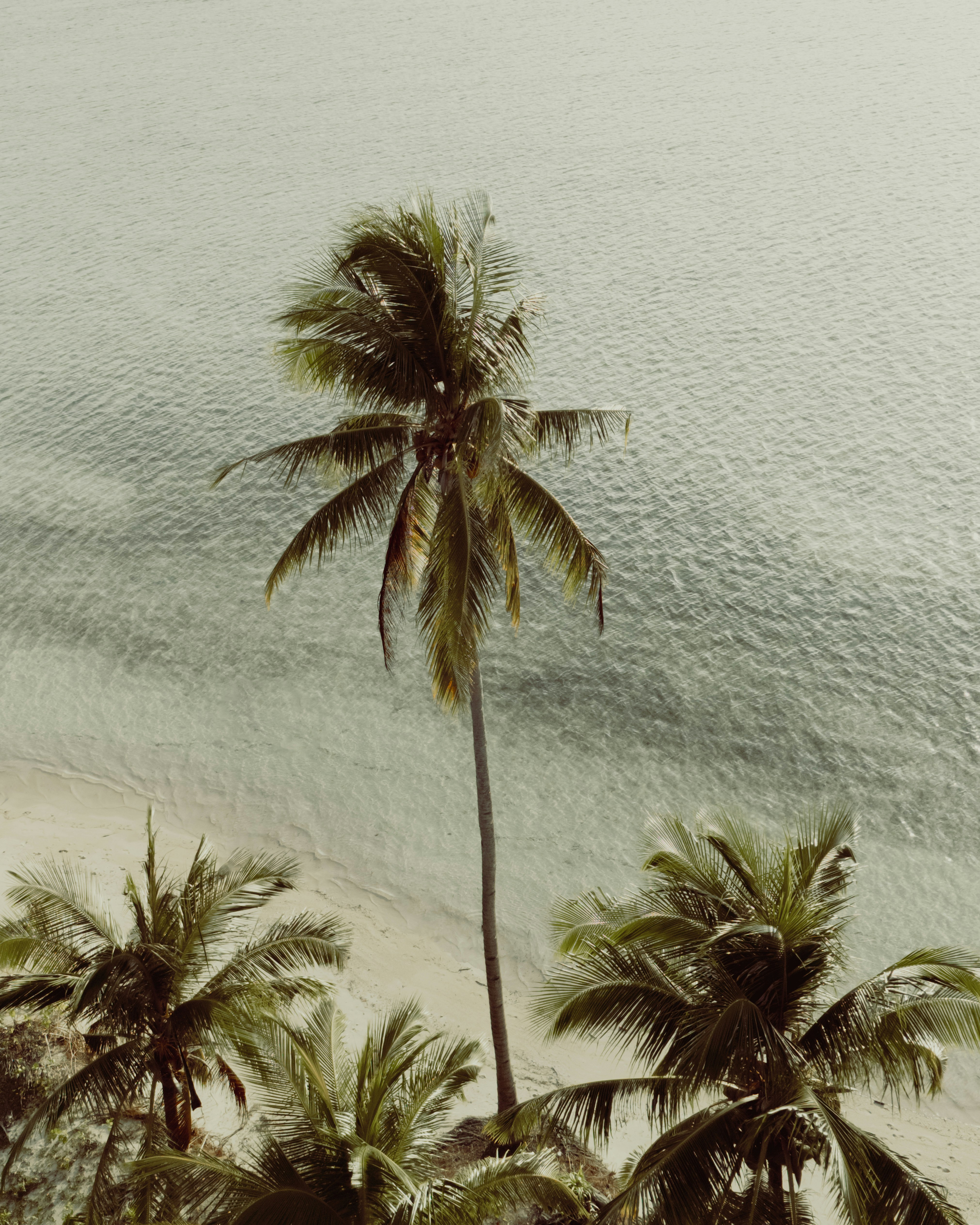 Photo by matthewmosbauer