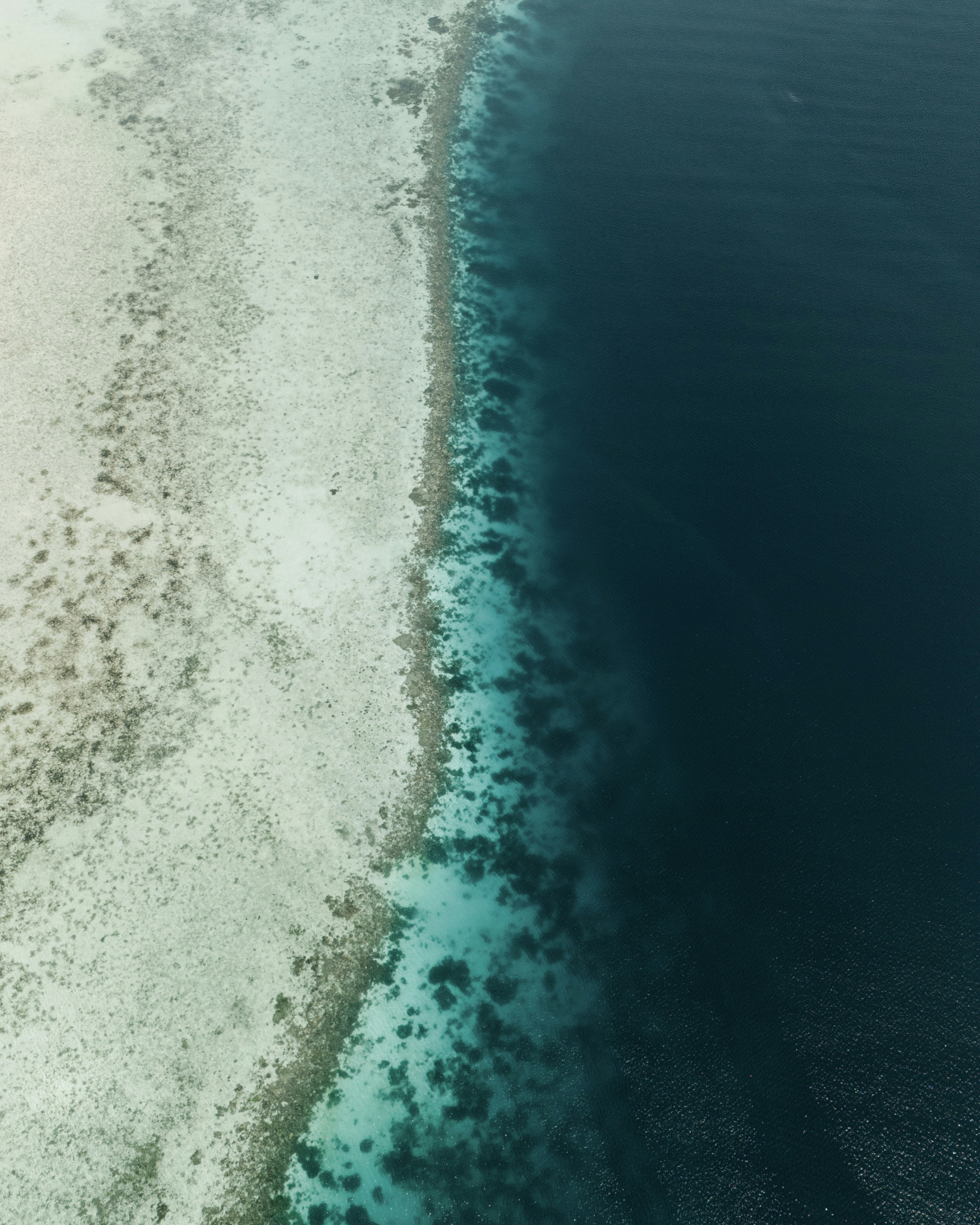 サンゴ礁と深海が接する空撮