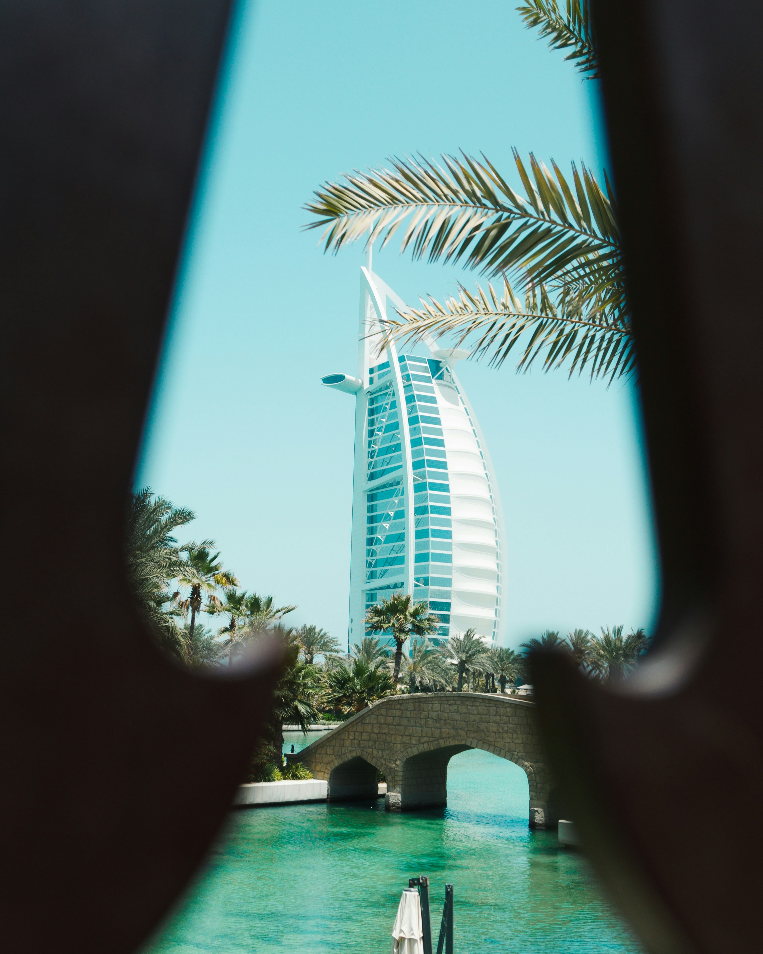 Modern skyscraper framed by palm trees and water