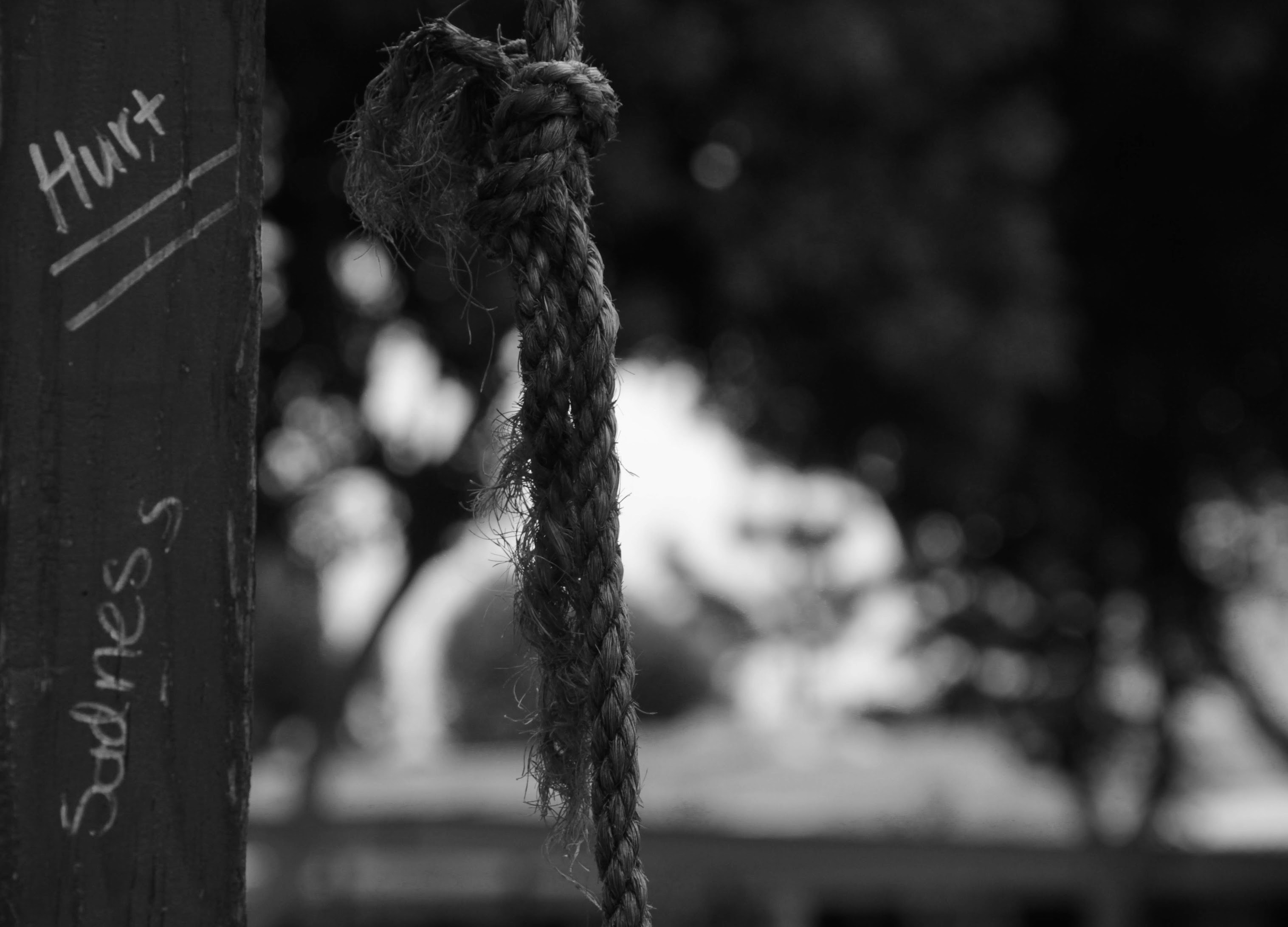 Rope hanging with words 'hurt' and 'sadness' written.