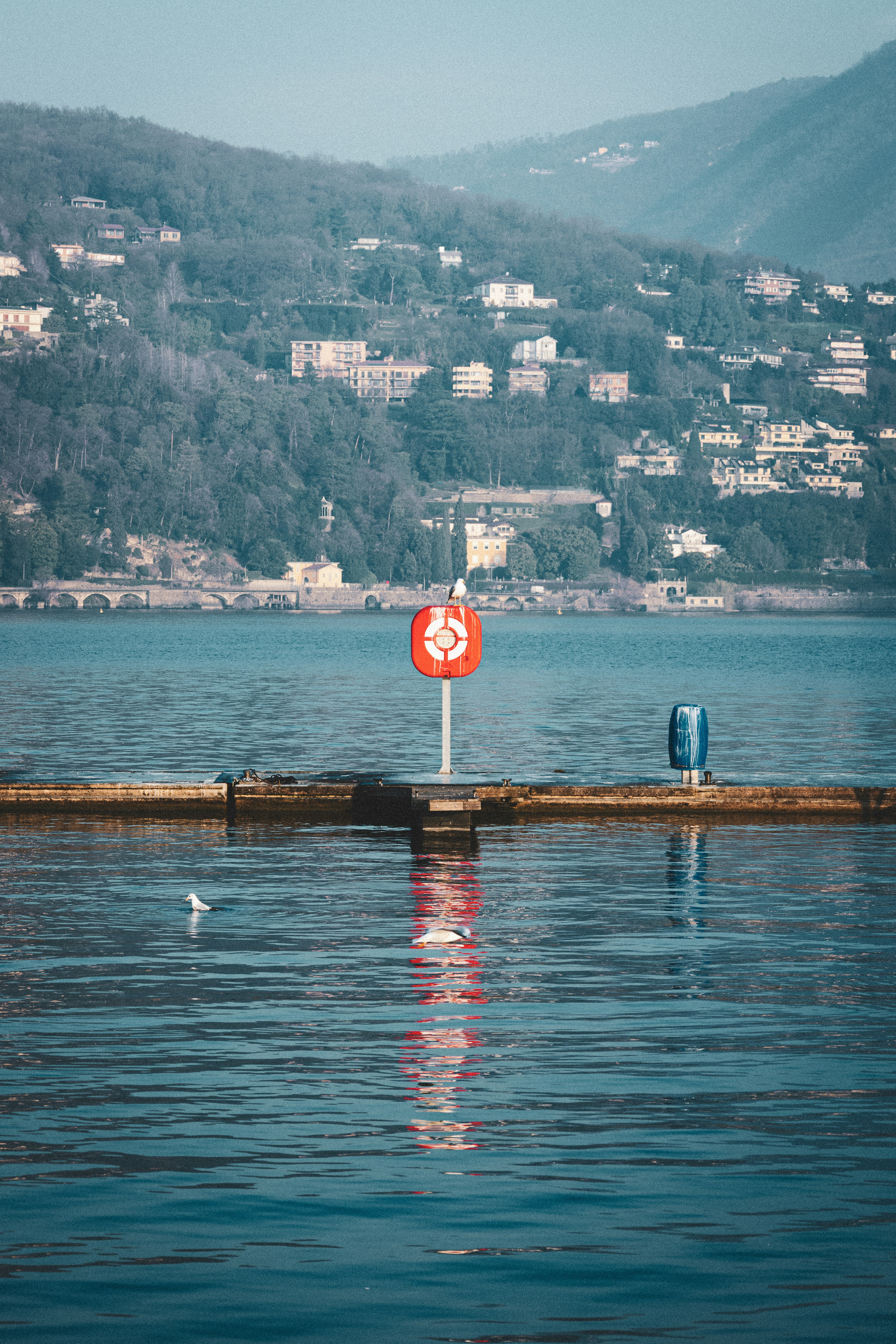 Photo by aaryankohli