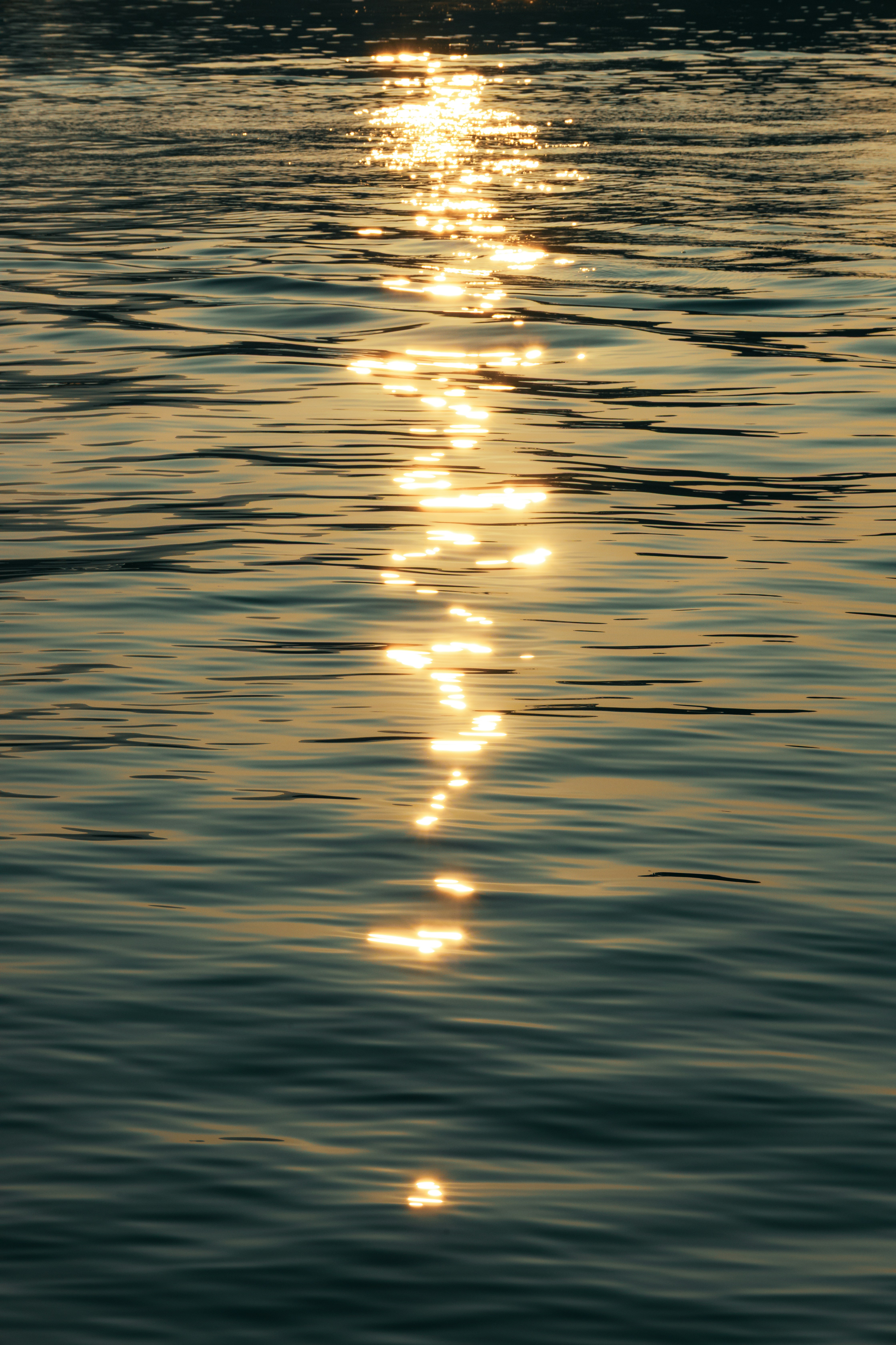 Photo by aaryankohli