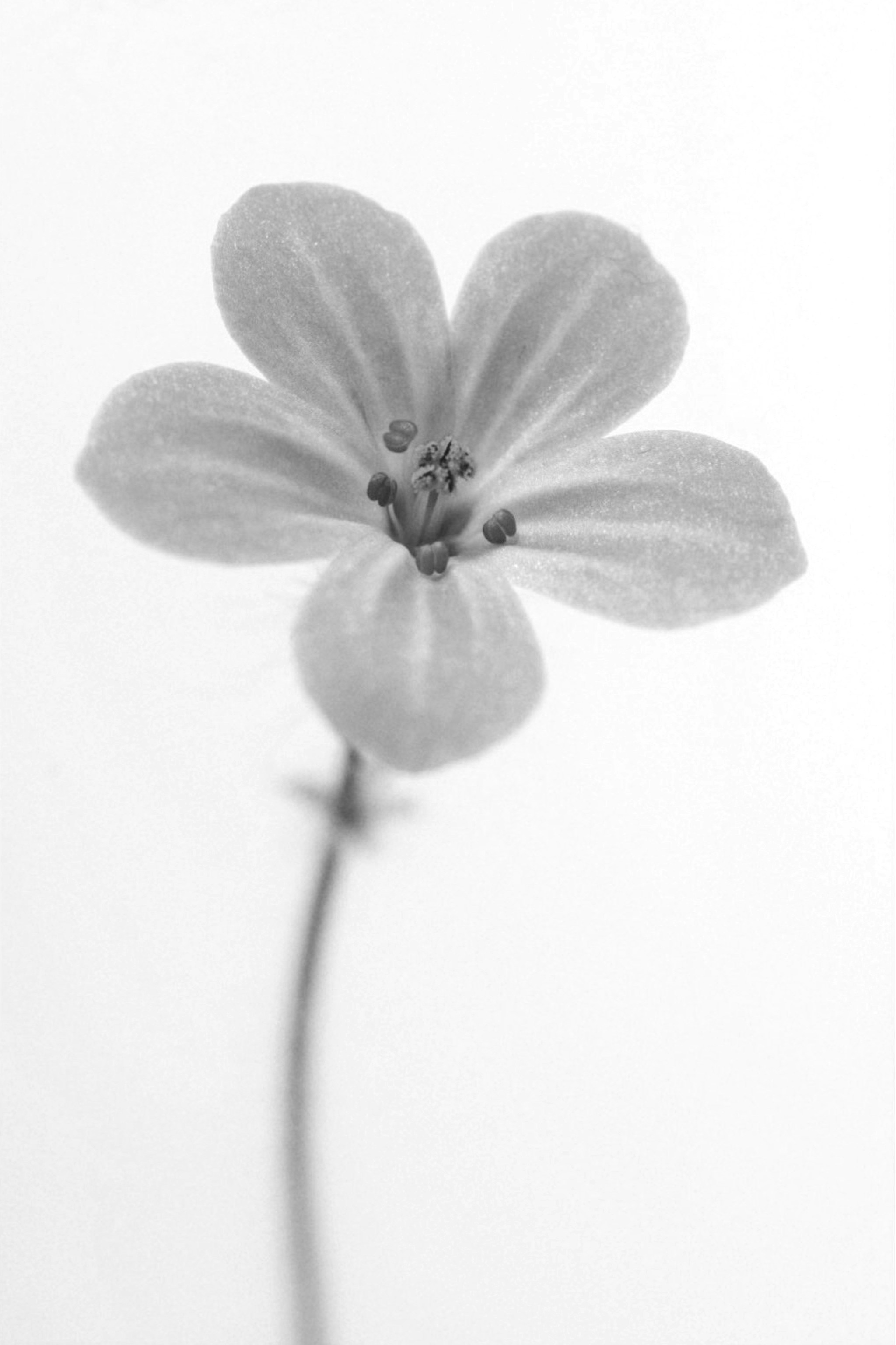 Photo by thegeekysnapper