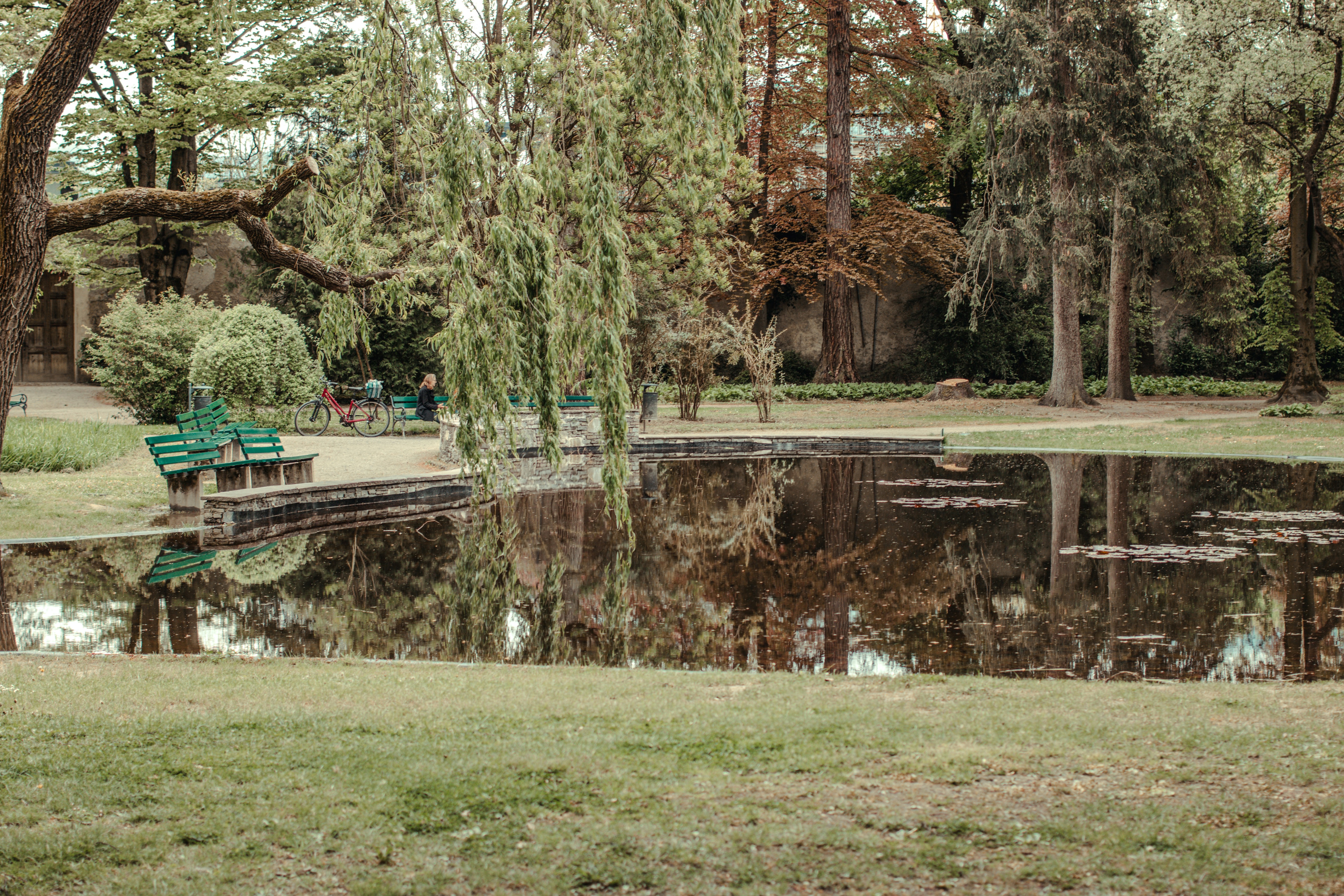 David Nichols Park