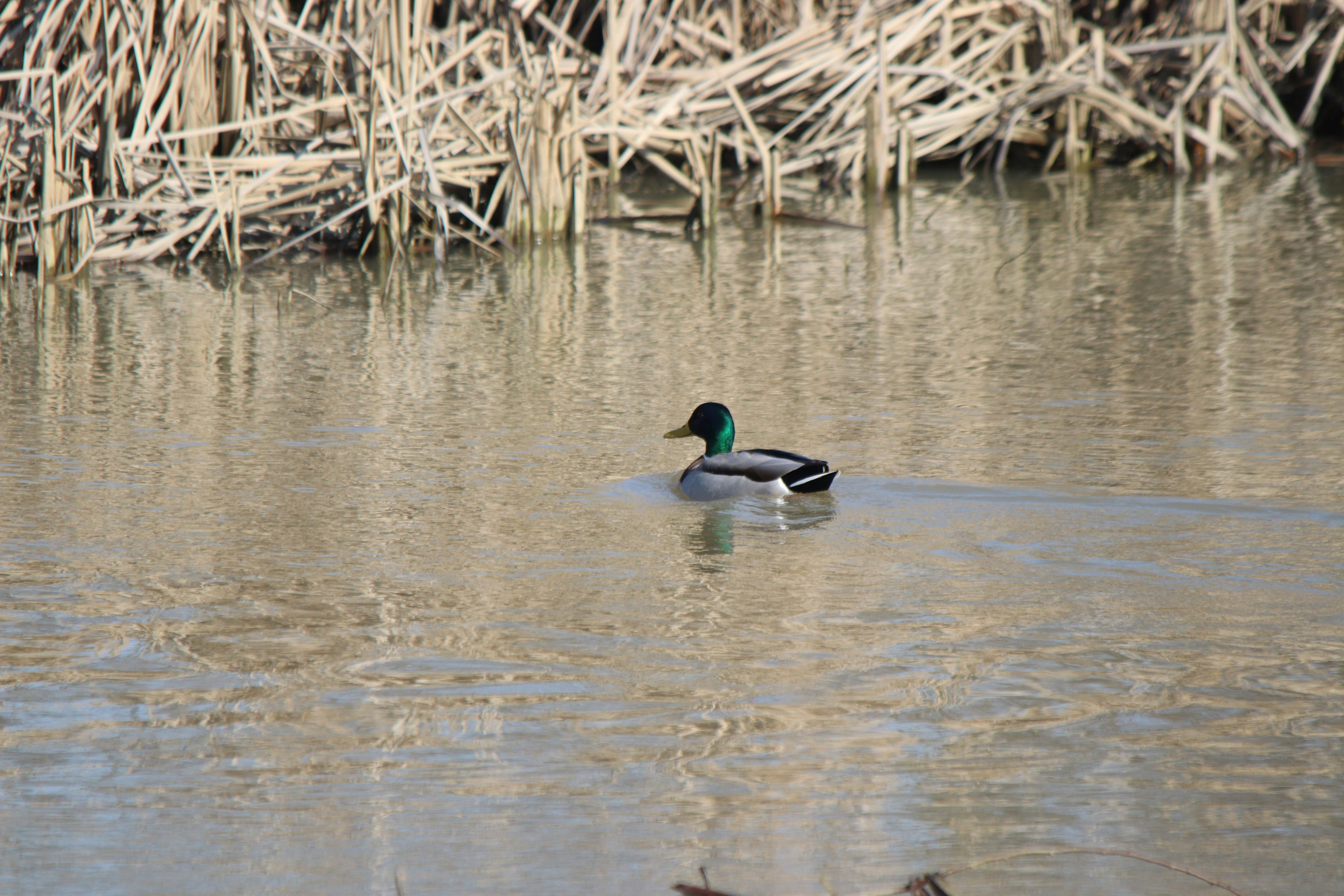 Photo by fotografialuivlad