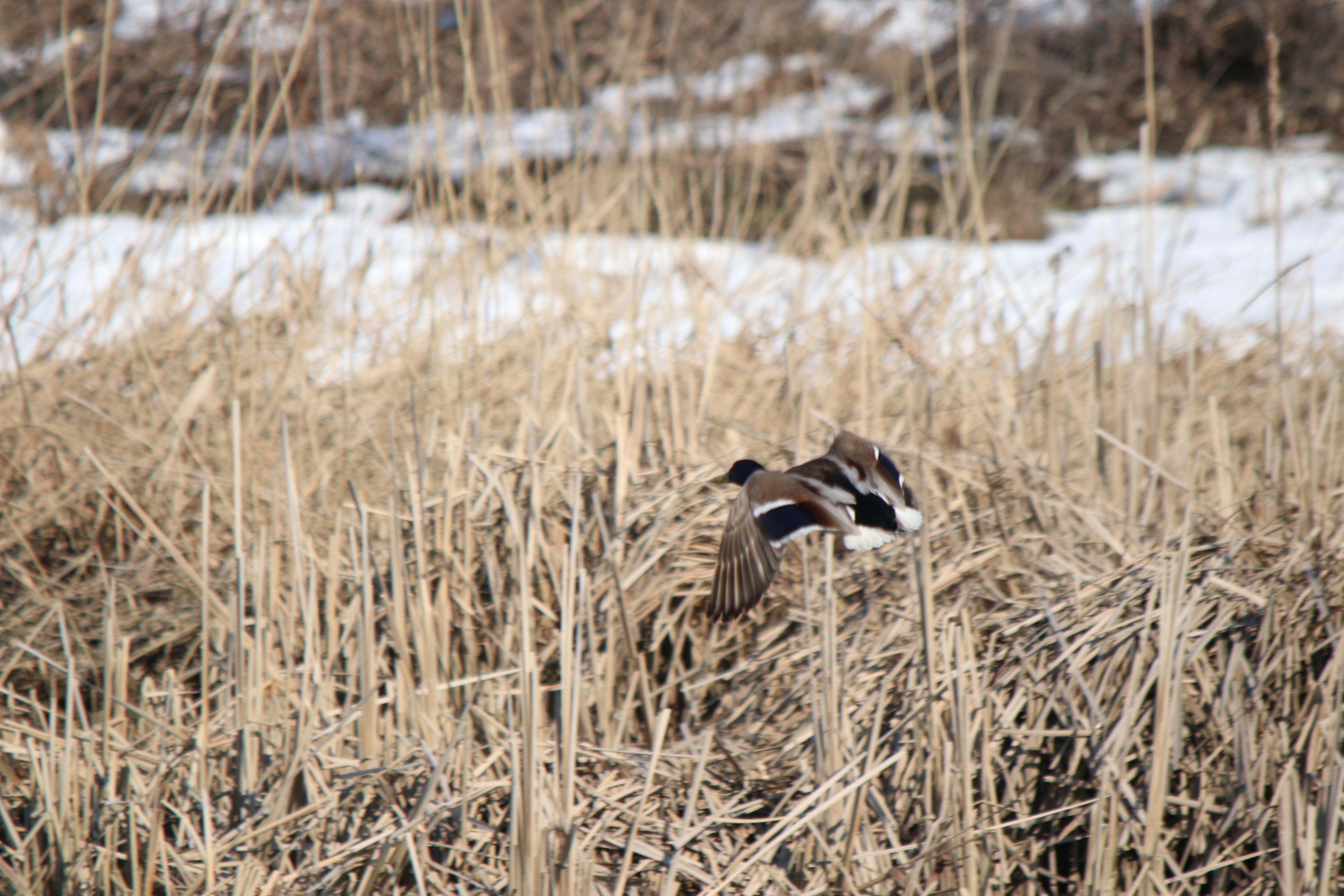 Photo by fotografialuivlad