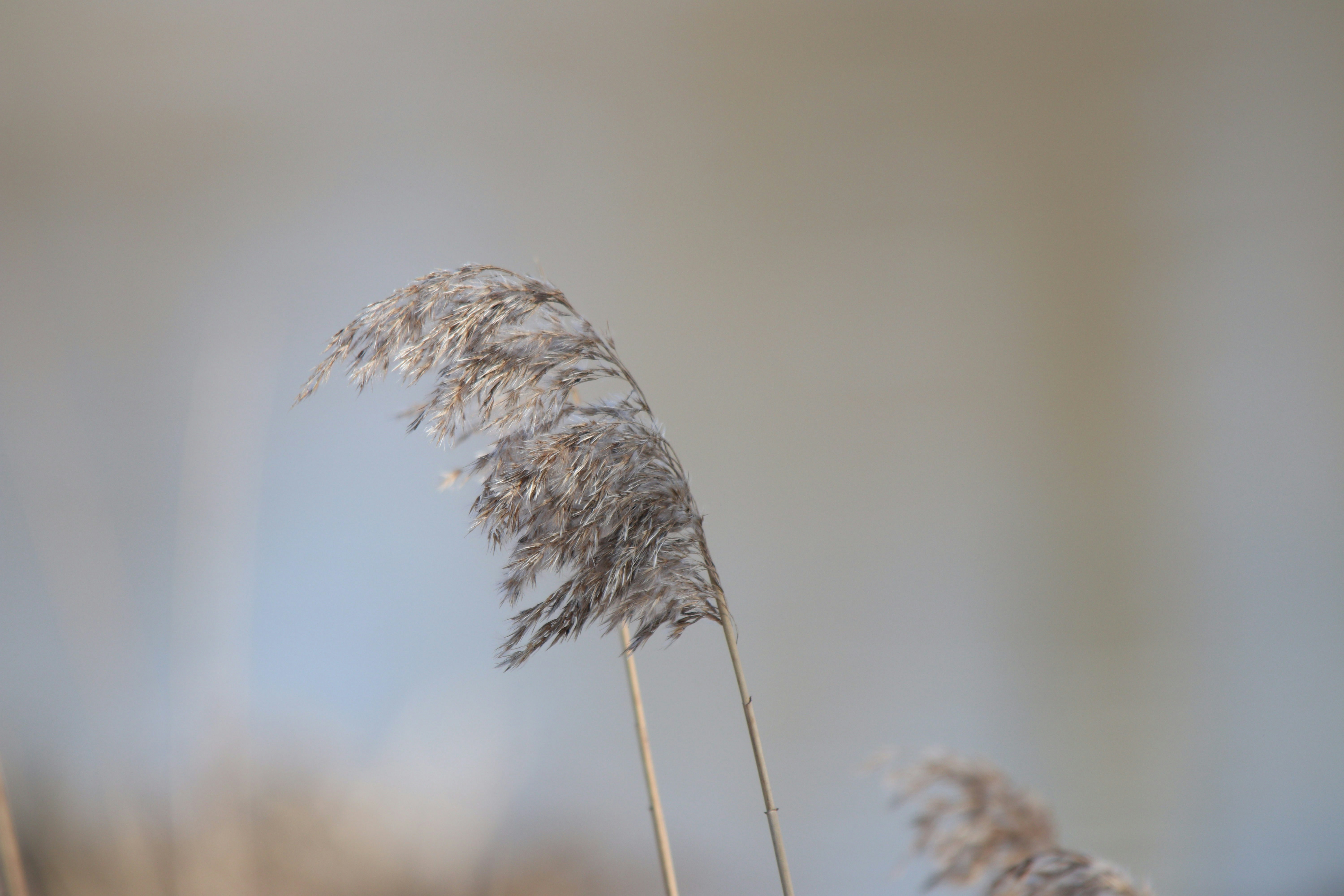 Photo by fotografialuivlad