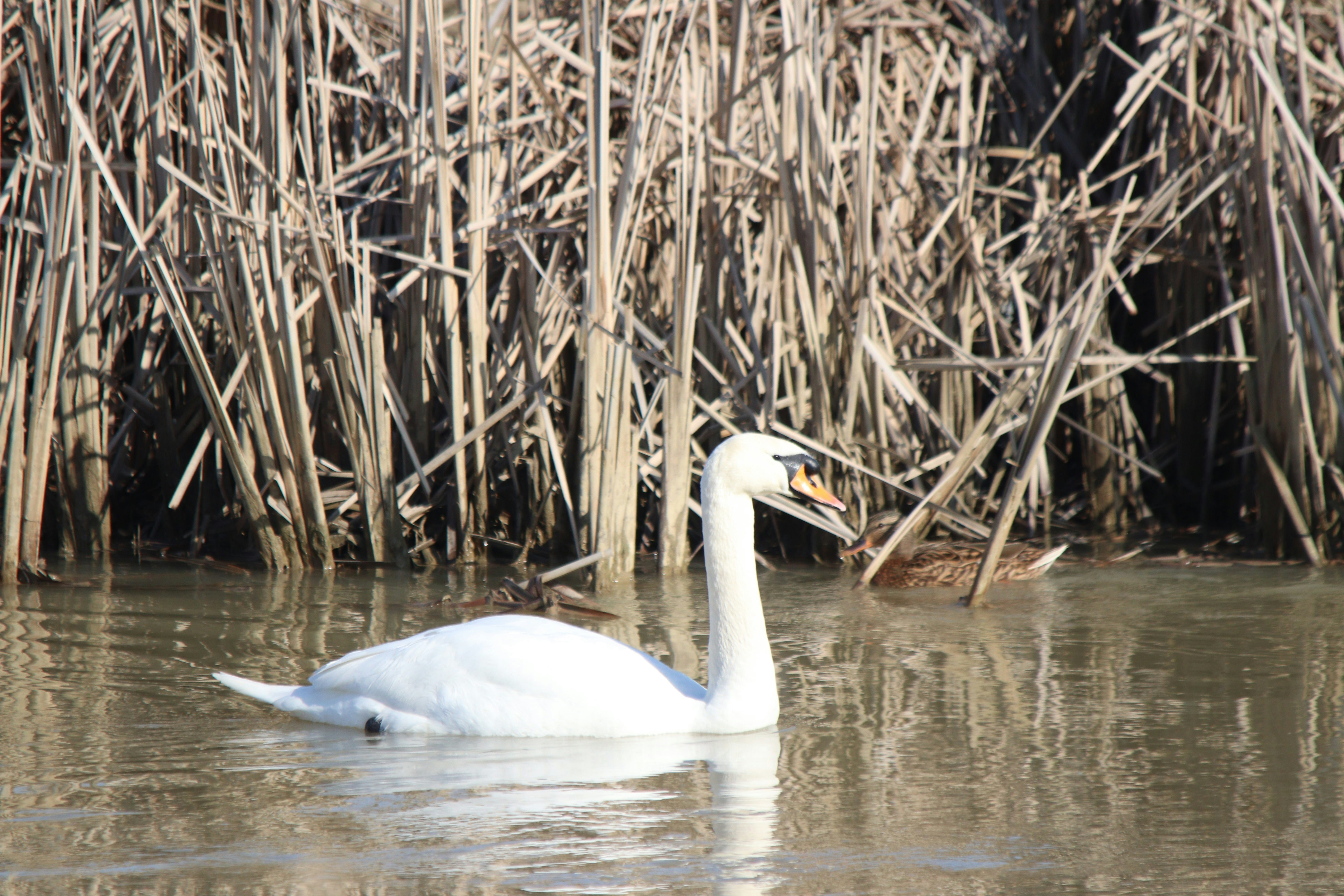 Photo by fotografialuivlad