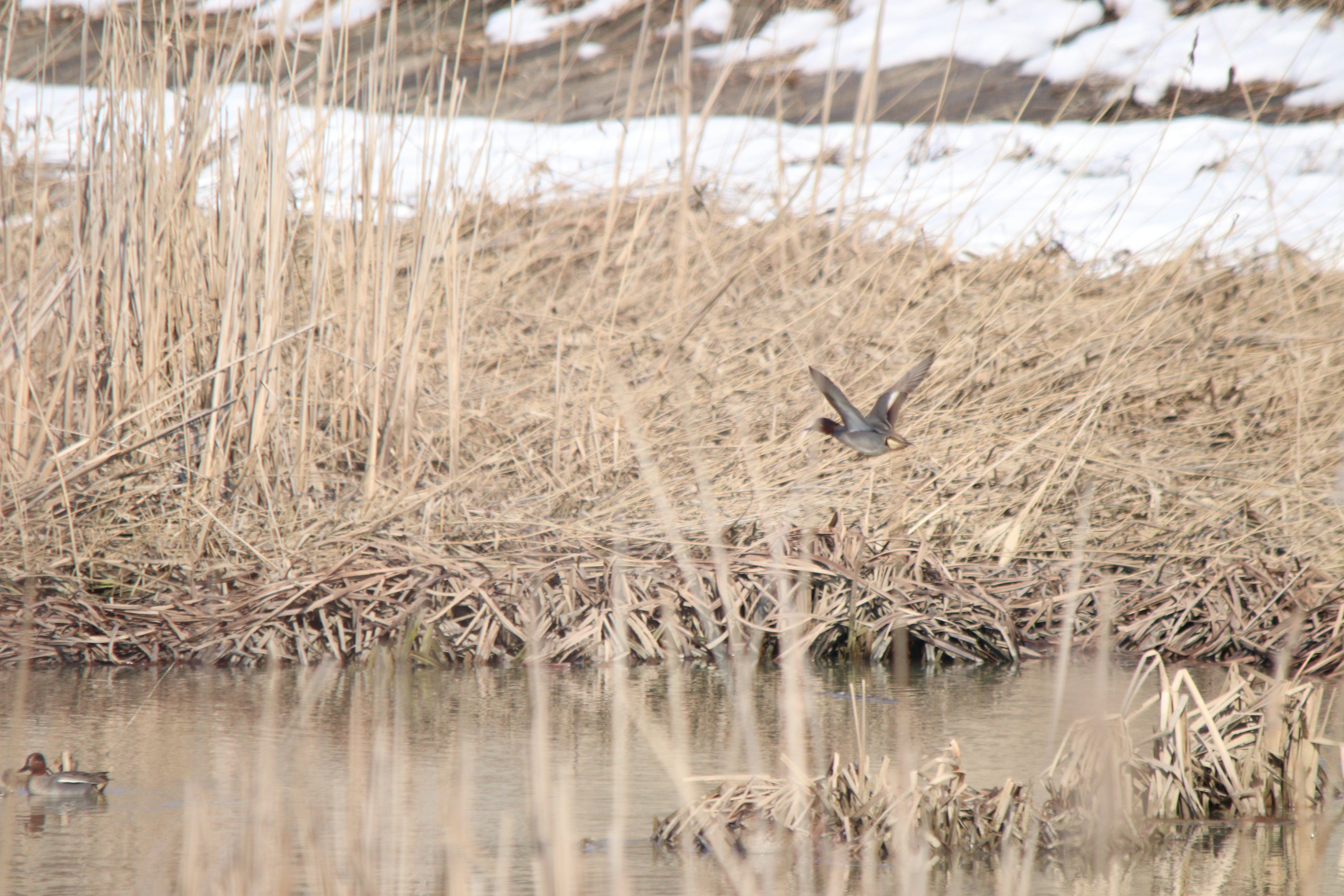 Photo by fotografialuivlad