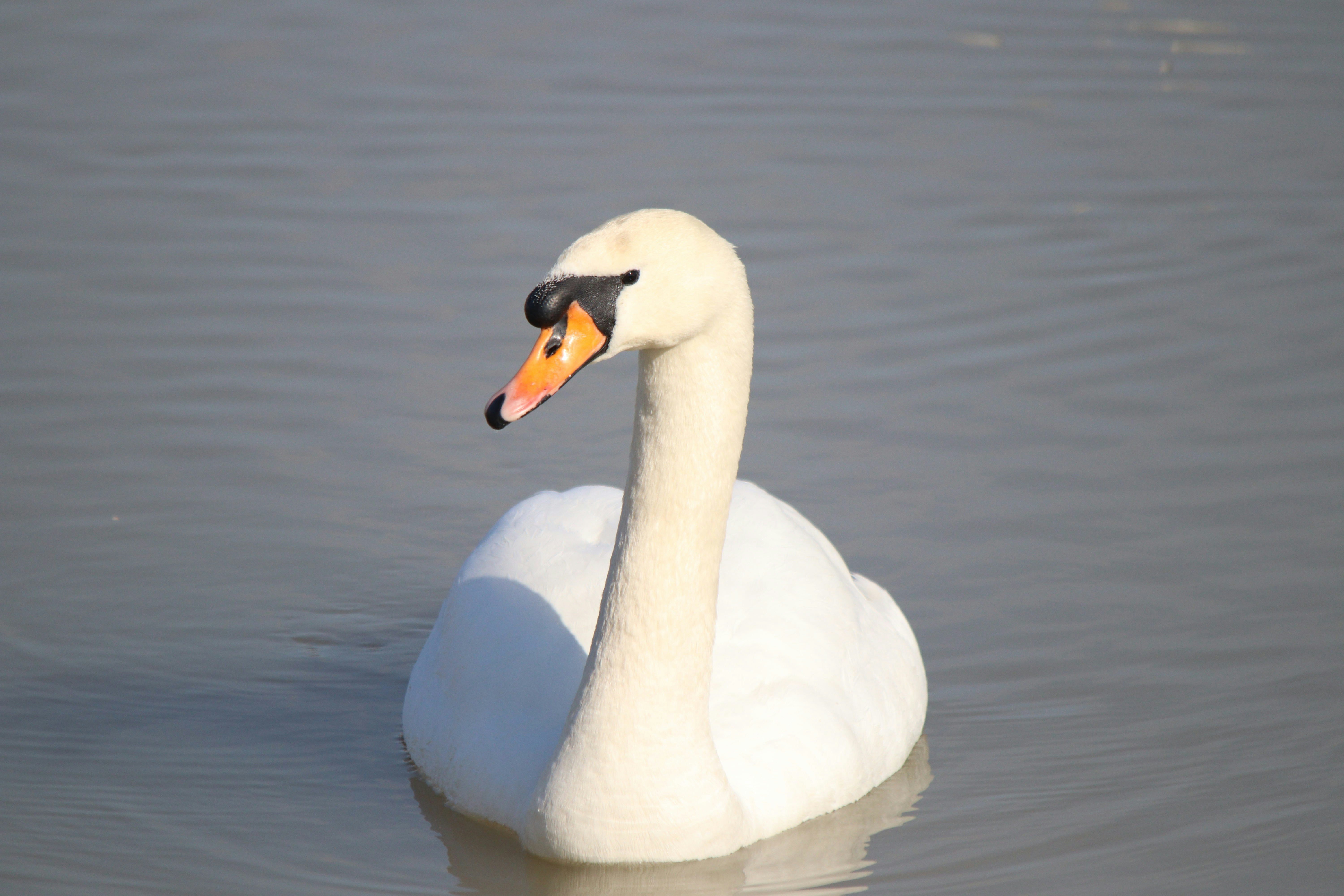 Photo by fotografialuivlad