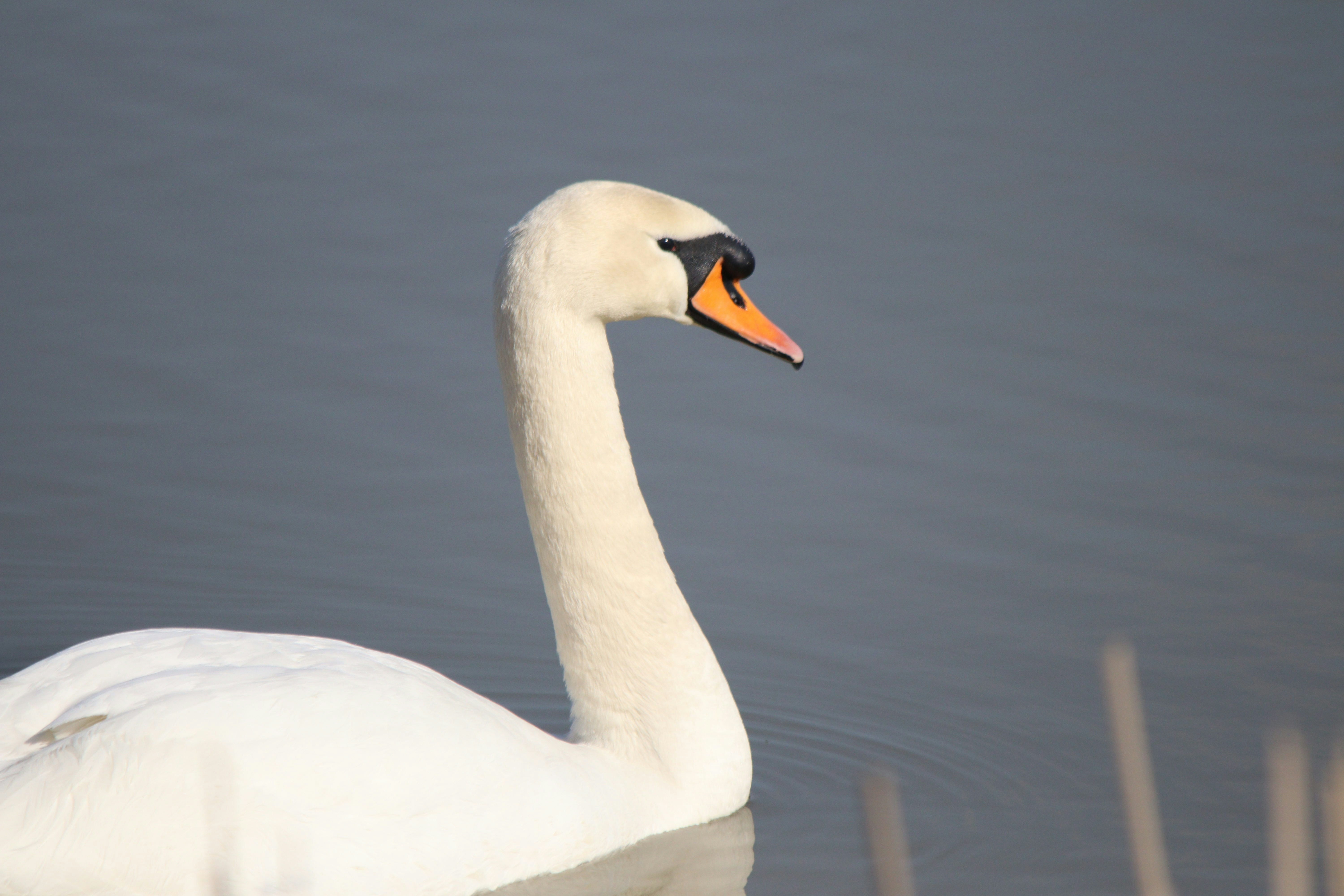 Photo by fotografialuivlad